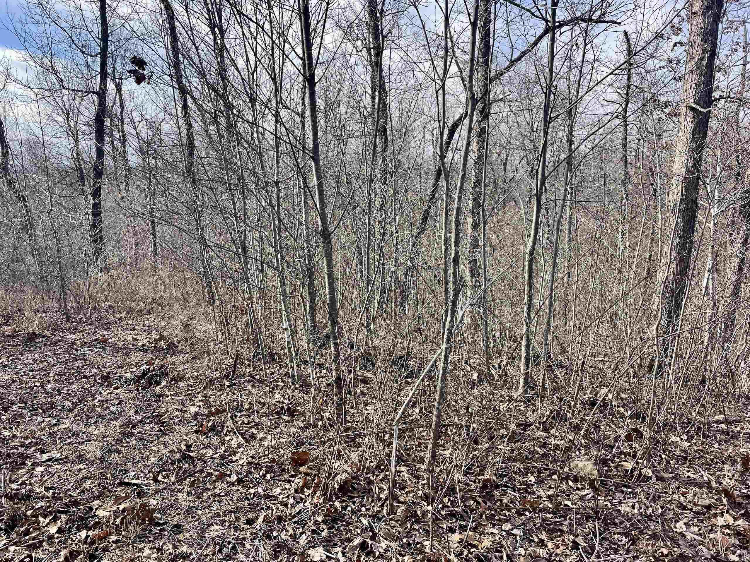 Not in Subdivision - Land