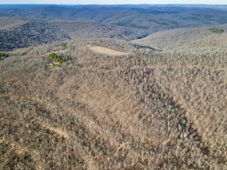 This rare find offers unmatched privacy and access to nature, with state highway frontage and bordering the US Forest Service on three sides. Enjoy endless recreational opportunities right from your doorstep! Approximately 5 acres have been cleared, providing the perfect site for a getaway cabin or forever home with 360-degree panoramic views of the breathtaking Ozark National Forest. The property is ready to build with electricity and a propane tank already on-site. An established road and trail system provides easy access to multiple hunting stand locations. For hunters and outdoor enthusiasts, the property offers outstanding hunting with abundant deer, turkey and trophy black bear. The mix of open clearings and mature forest creates an ideal habitat for wildlife. A one-of-a-kind opportunity—schedule your private tour today!