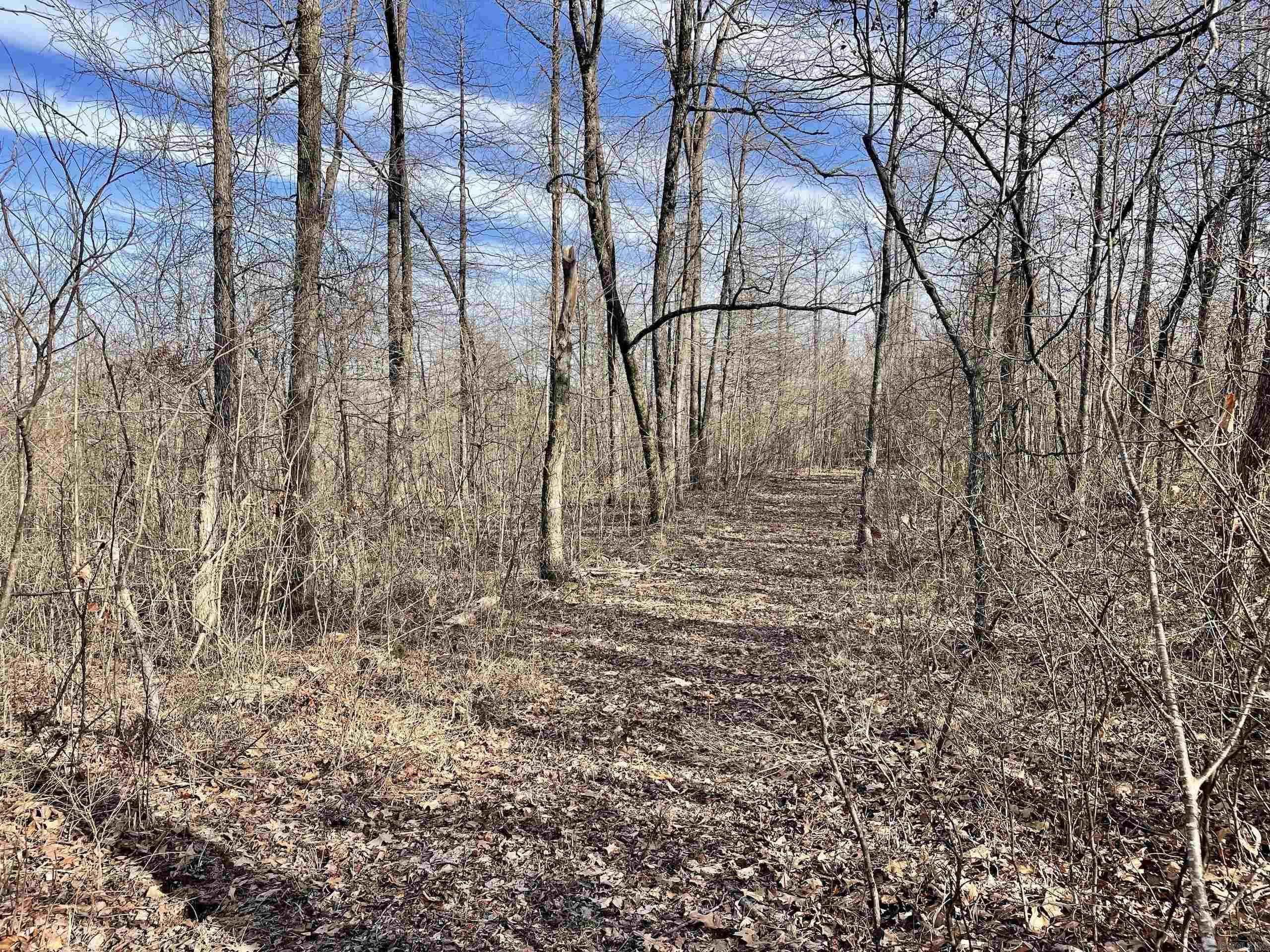 Not in Subdivision - Land