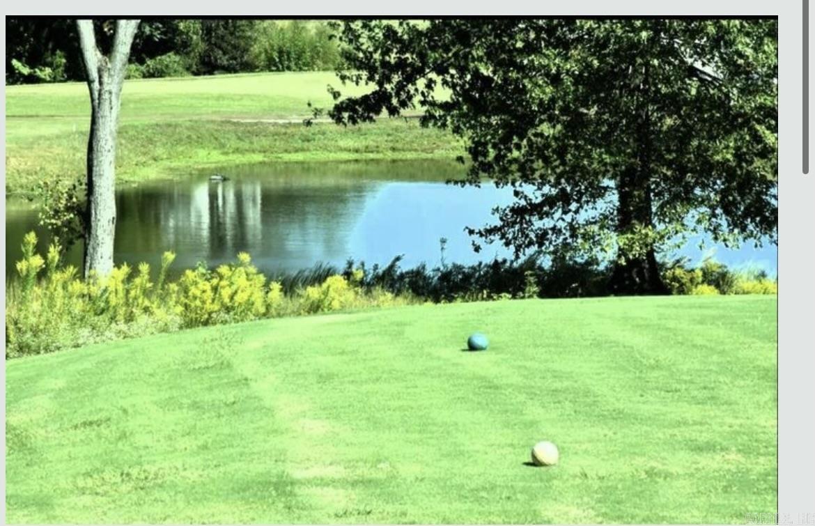 SILVER SPRINGS PH VIII - Residential