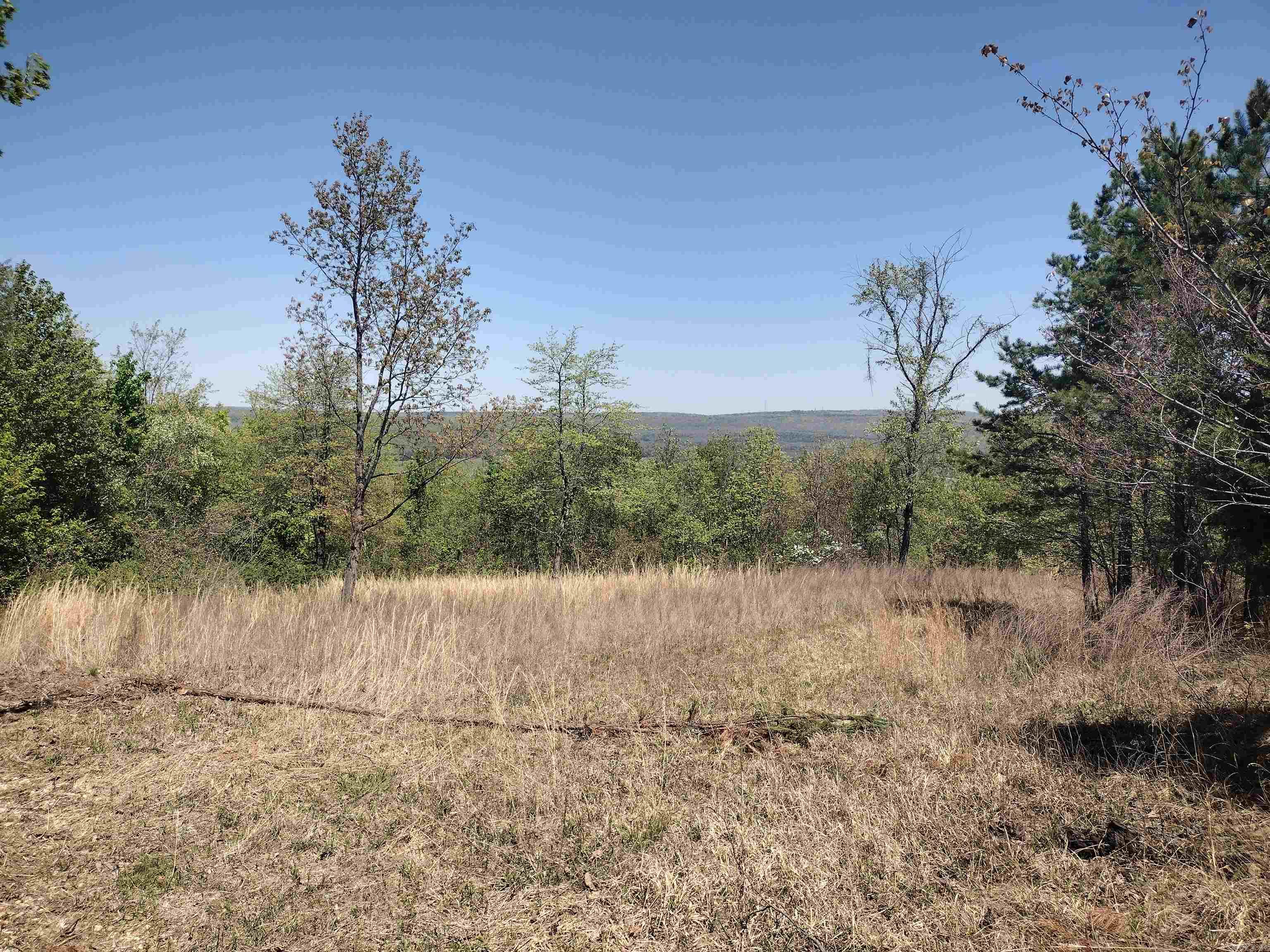 Looking to be out in the country with a nice view and some privacy this is the place for you has water meter in place power and fiber available could clear up more views if desired make a great place to build new home. or make great homestead. Does have county Rd frontage