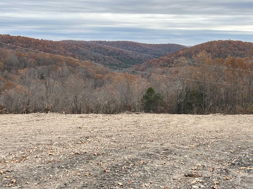 Nice View from this 37.64 Acres m/l. The property features a level spot to build with lots of hardwood trees, small spring, no property restrictions, paved road, and electric is available. Call today to schedule a showing.