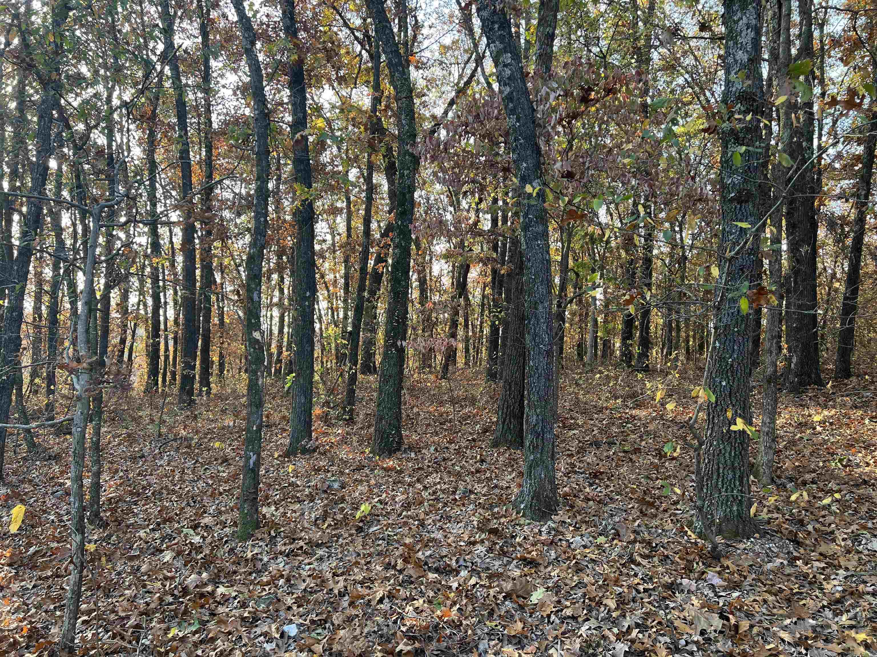 Nice View from this 37.64 Acres m/l. The property features a level spot to build with lots of hardwood trees, small spring, no property restrictions, paved road, and electric is available. Call today to schedule a showing.