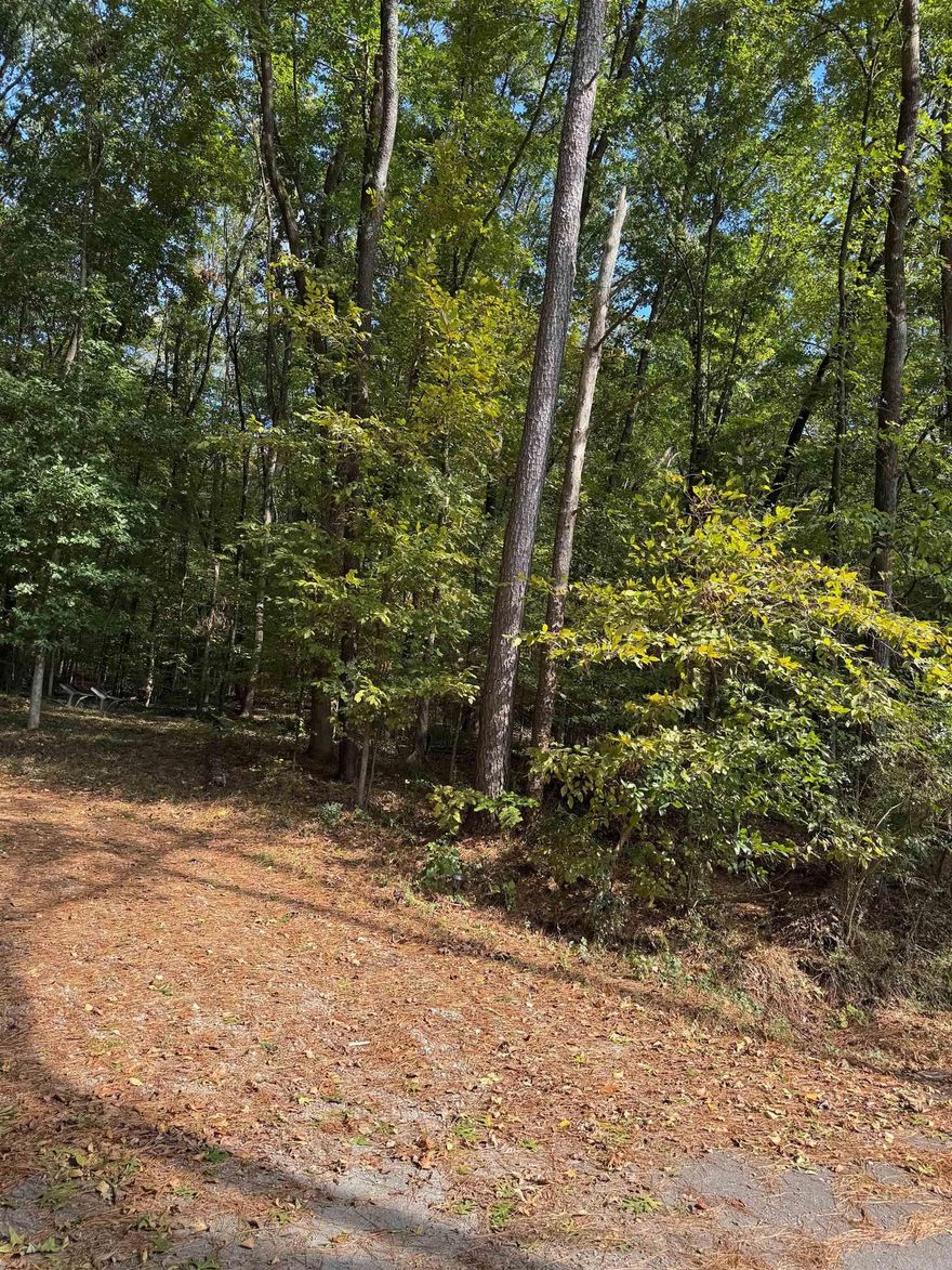 Build your dream home in the nestled back of country living and close to bypass.  Also, in Lakeside school district. Build on flat part of up the mountain side.