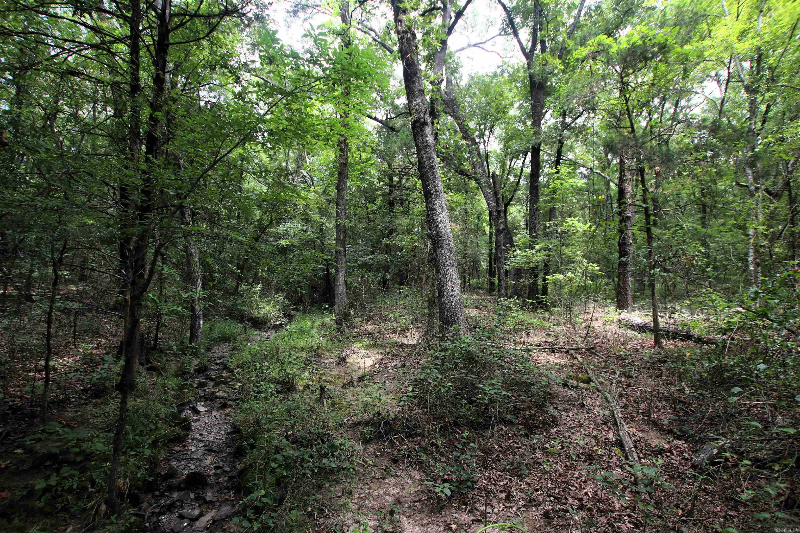 Not in Subdivision - Land