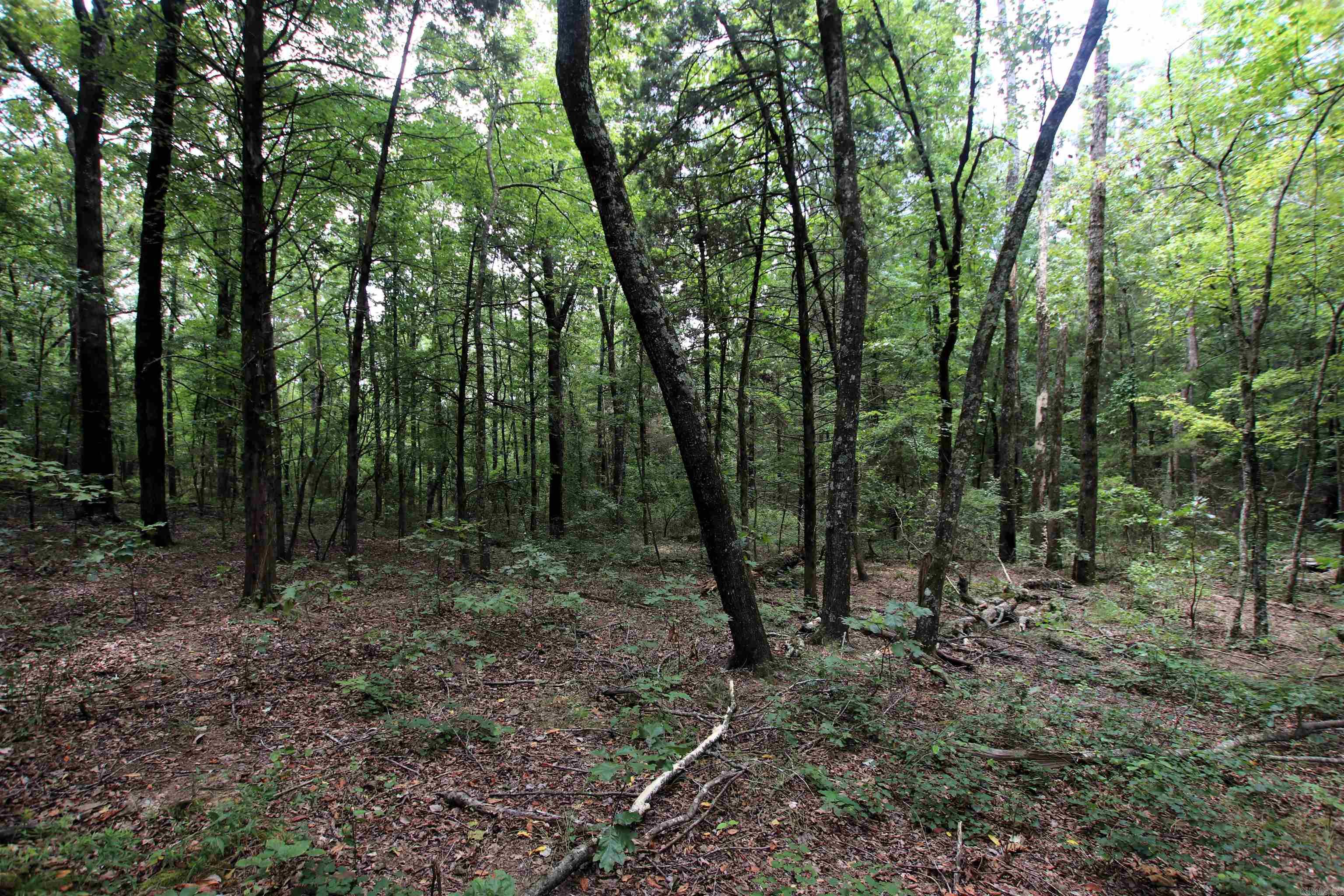 Not in Subdivision - Land