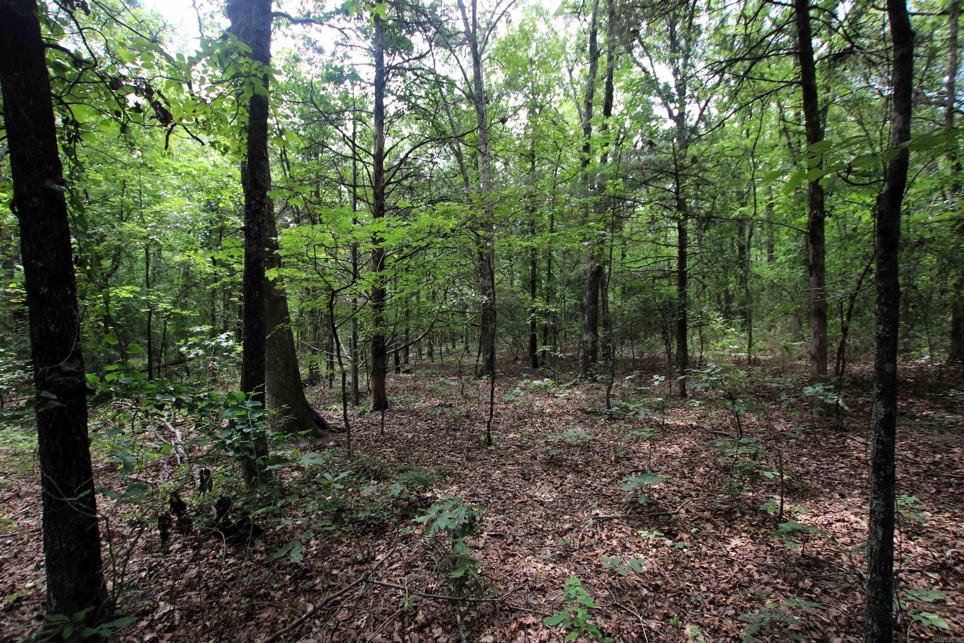 Not in Subdivision - Land