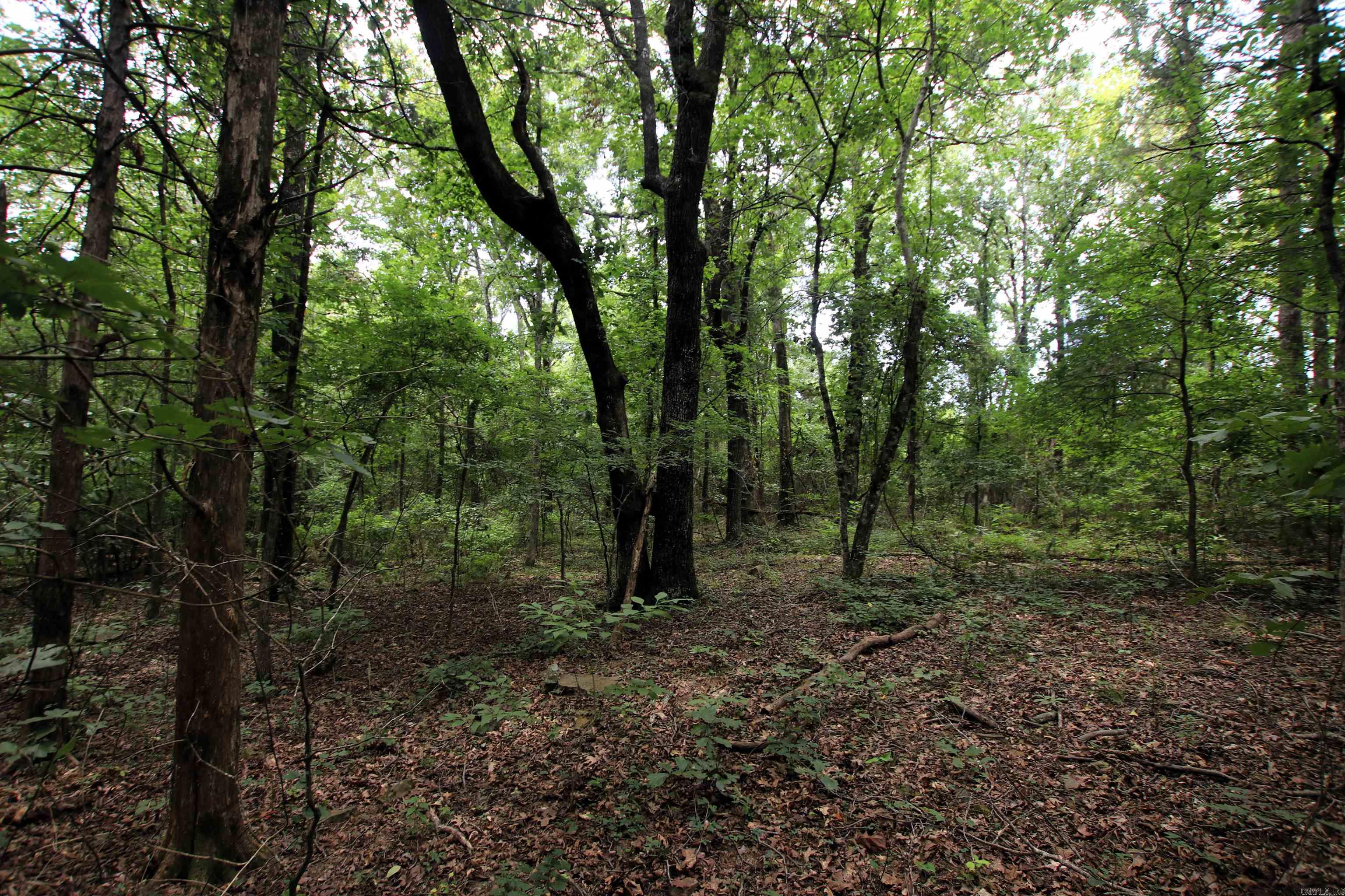 Not in Subdivision - Land