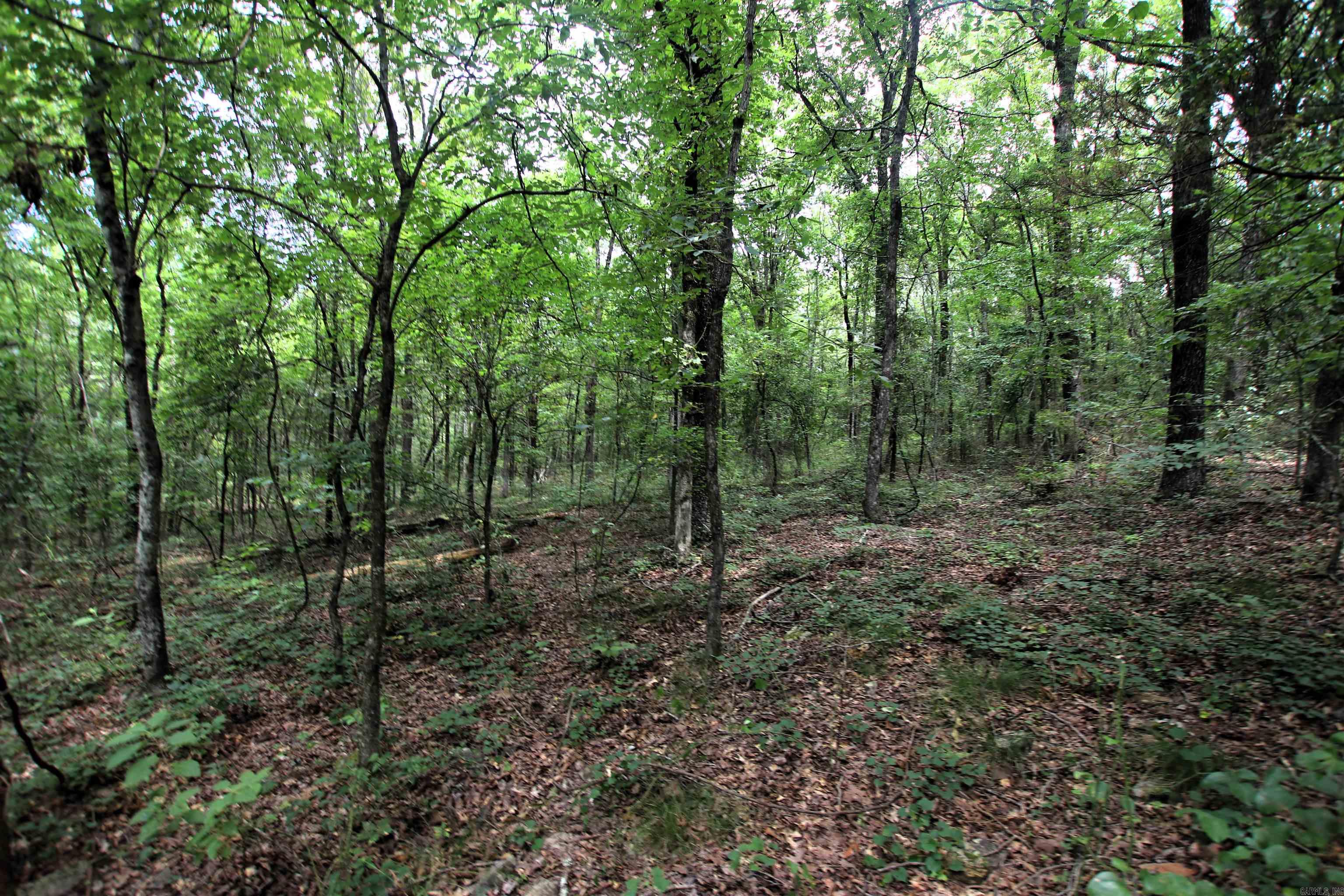 Not in Subdivision - Land