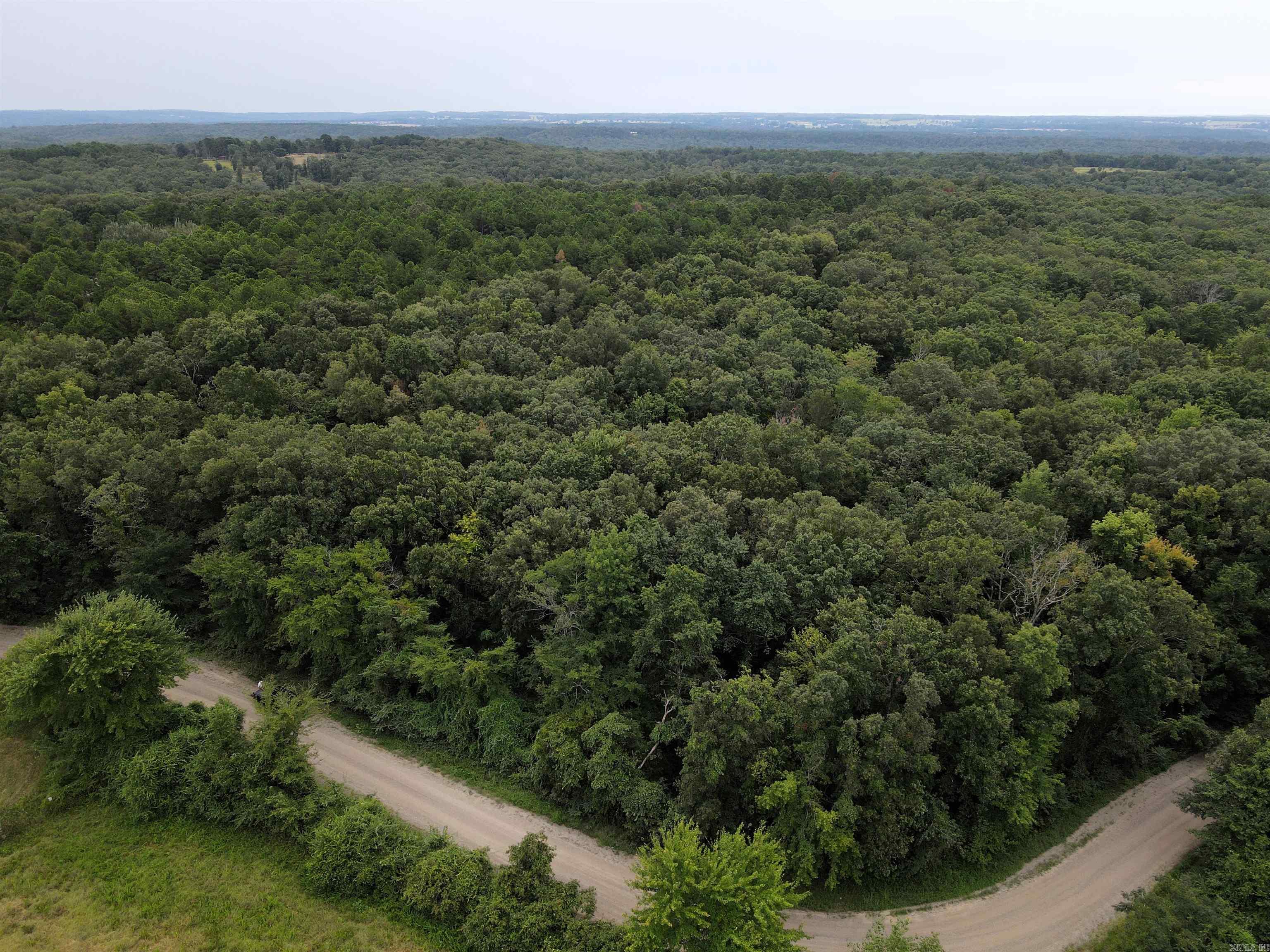 - 5.22 +/- acres of timber - Numerous build sites - Utilities on the property - Mature hardwood mix - Heavy mast producing trees - County road frontage - Great topography - Wet weather creek - 8 miles to Clinton - 25 miles to Greenbrier