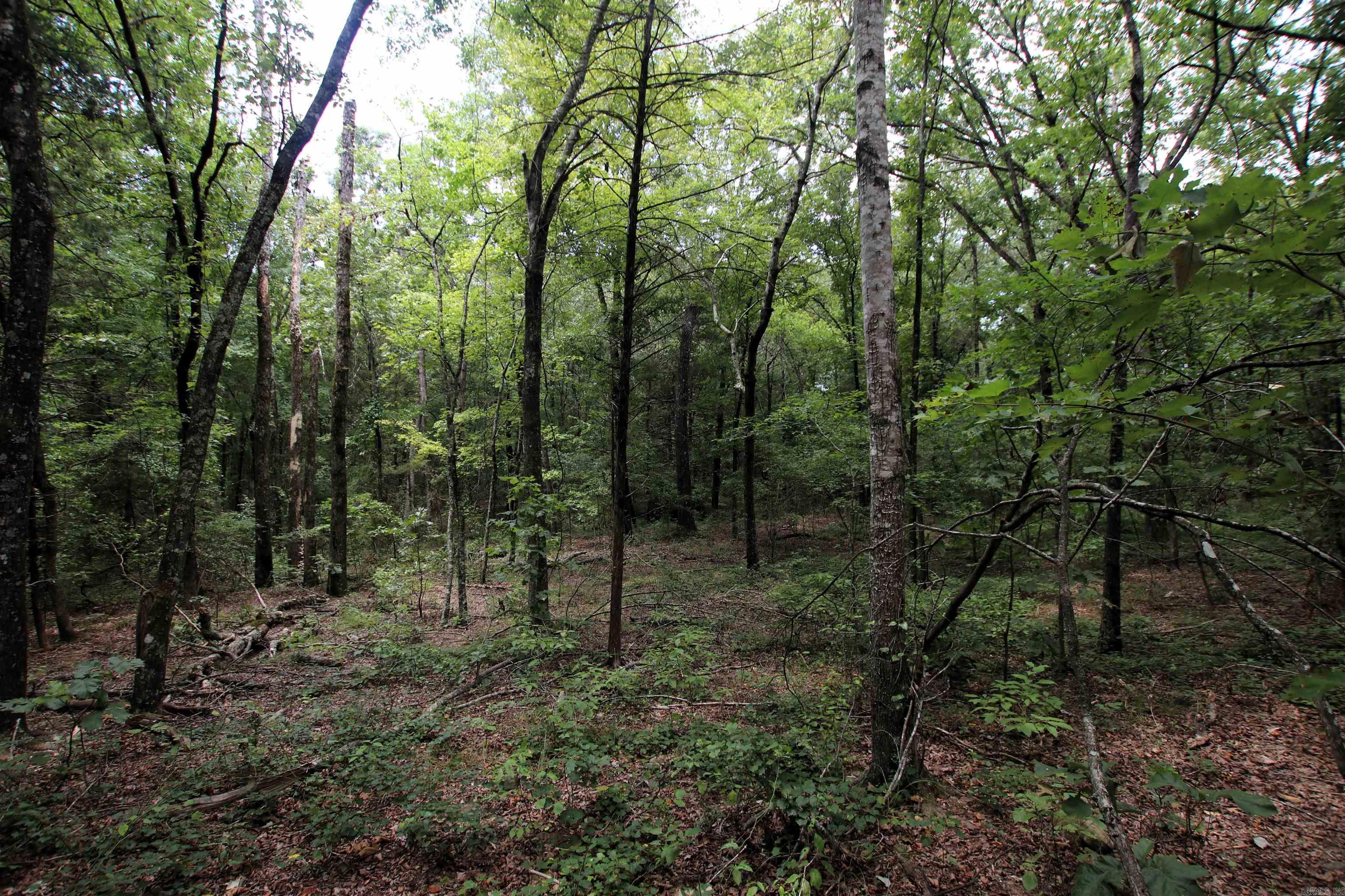 Not in Subdivision - Land