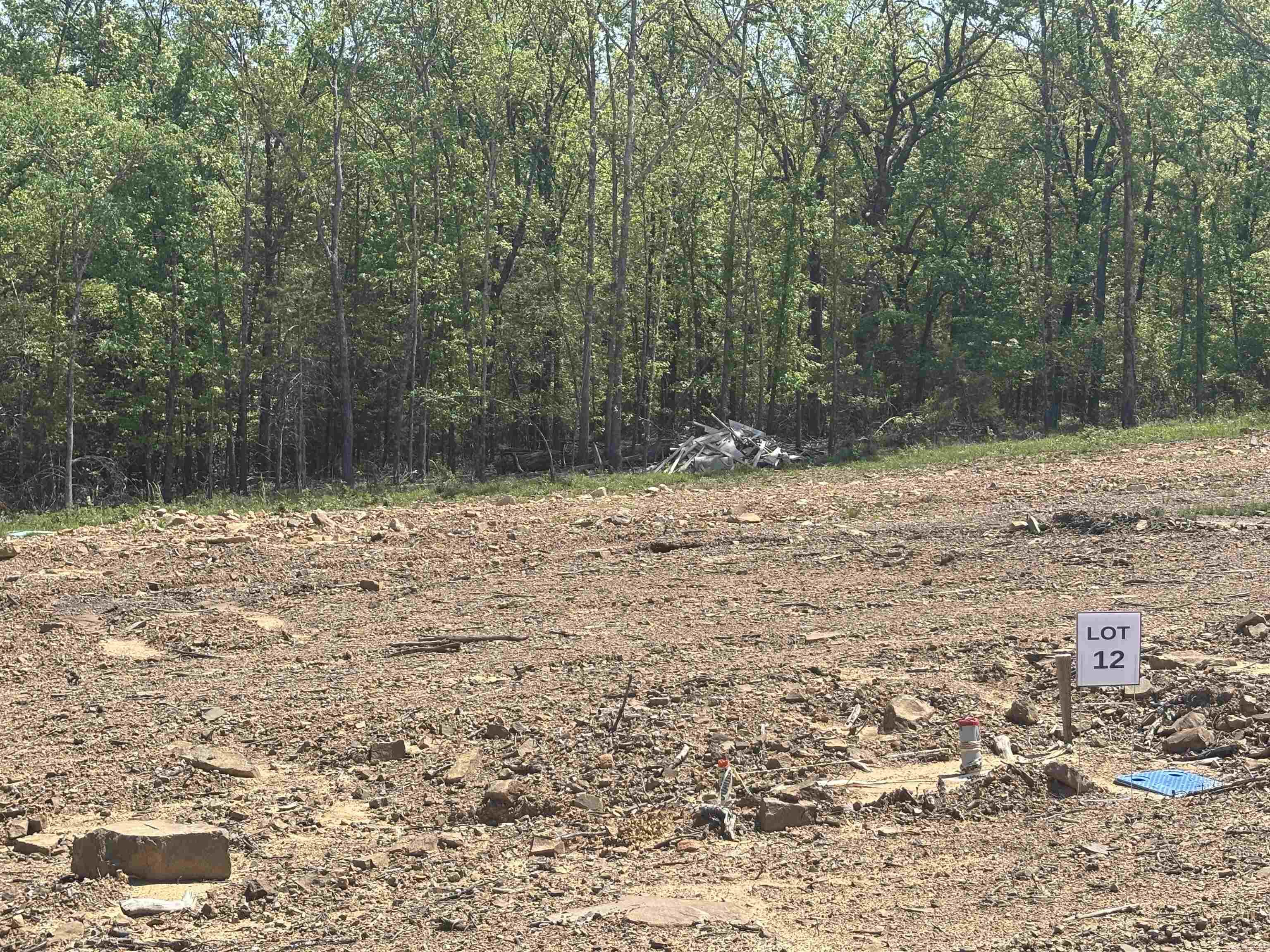 Lot 12 of George's Crossing - Welcome to an ideally located NEW subdivision in Austin, AR - Located within the Cabot School District. This subdivision has a minimum square footage of 1,700 sq ft and will feature quality built homes. The ideal location is 1-2 min off 67/167/I57 and is also within 2-min of the newly built Cabot Pre-K campus too! Not to mention being within less than 10-minutes to dining, shopping, schools, and the ever growing in popularity, Game Time at The Grounds sports complex! Do not forget you can also be golfing in 10-minutes too at one of two of Greystone's Golf Courses! We have builders for you too!