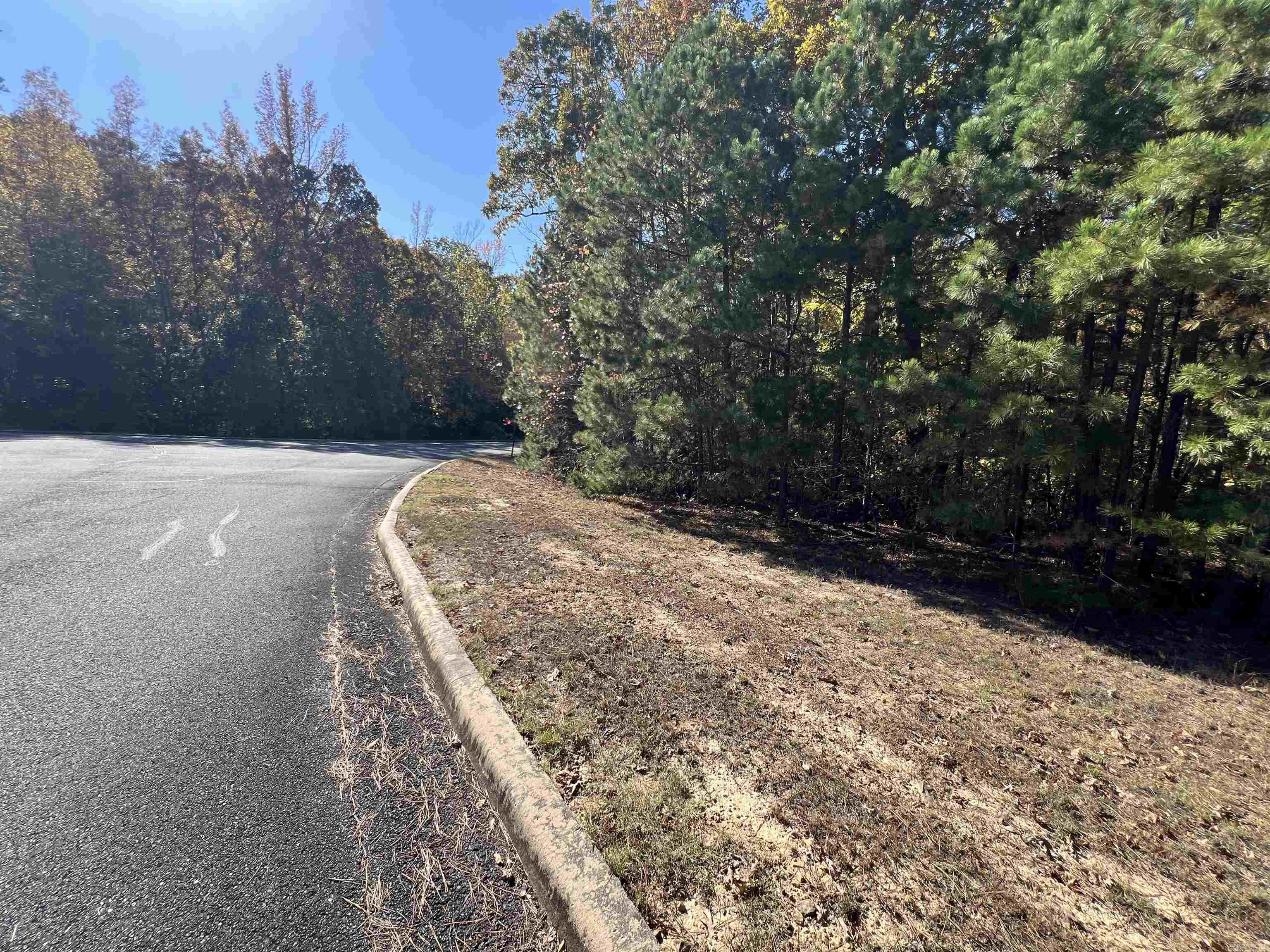 Holley Mountain Airpark - Land