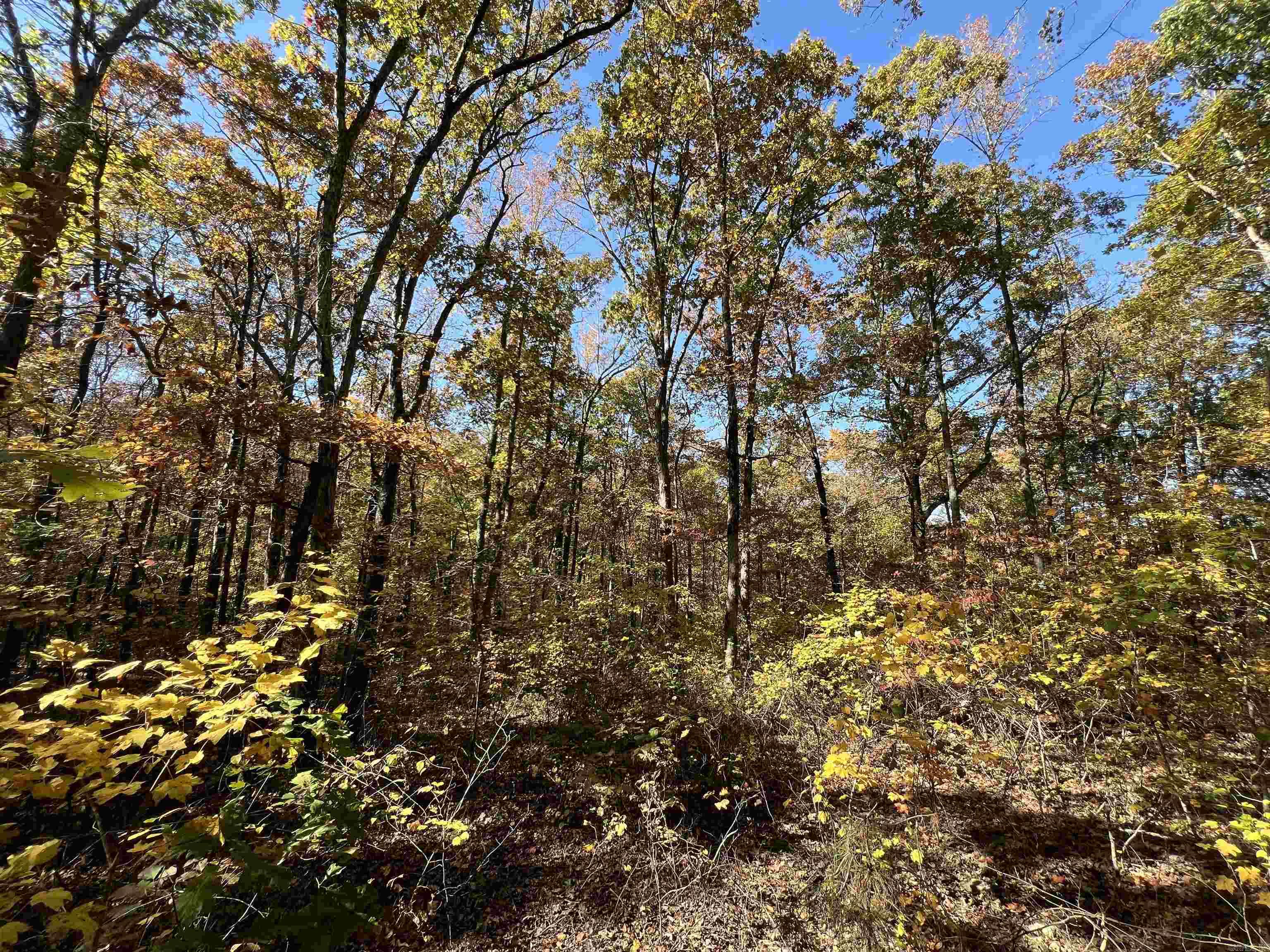 Holley Mountain Airpark - Land