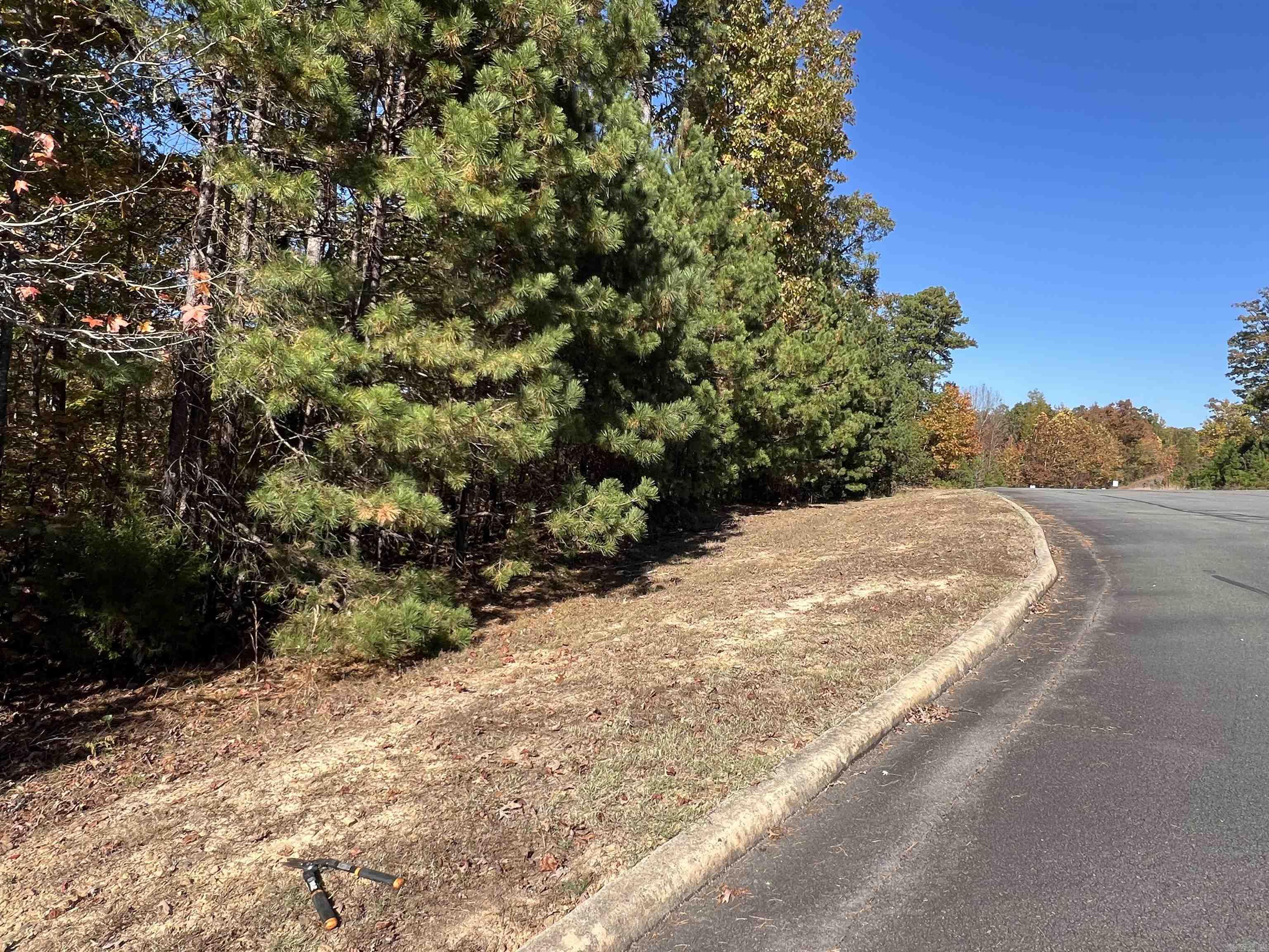 Holley Mountain Airpark - Land