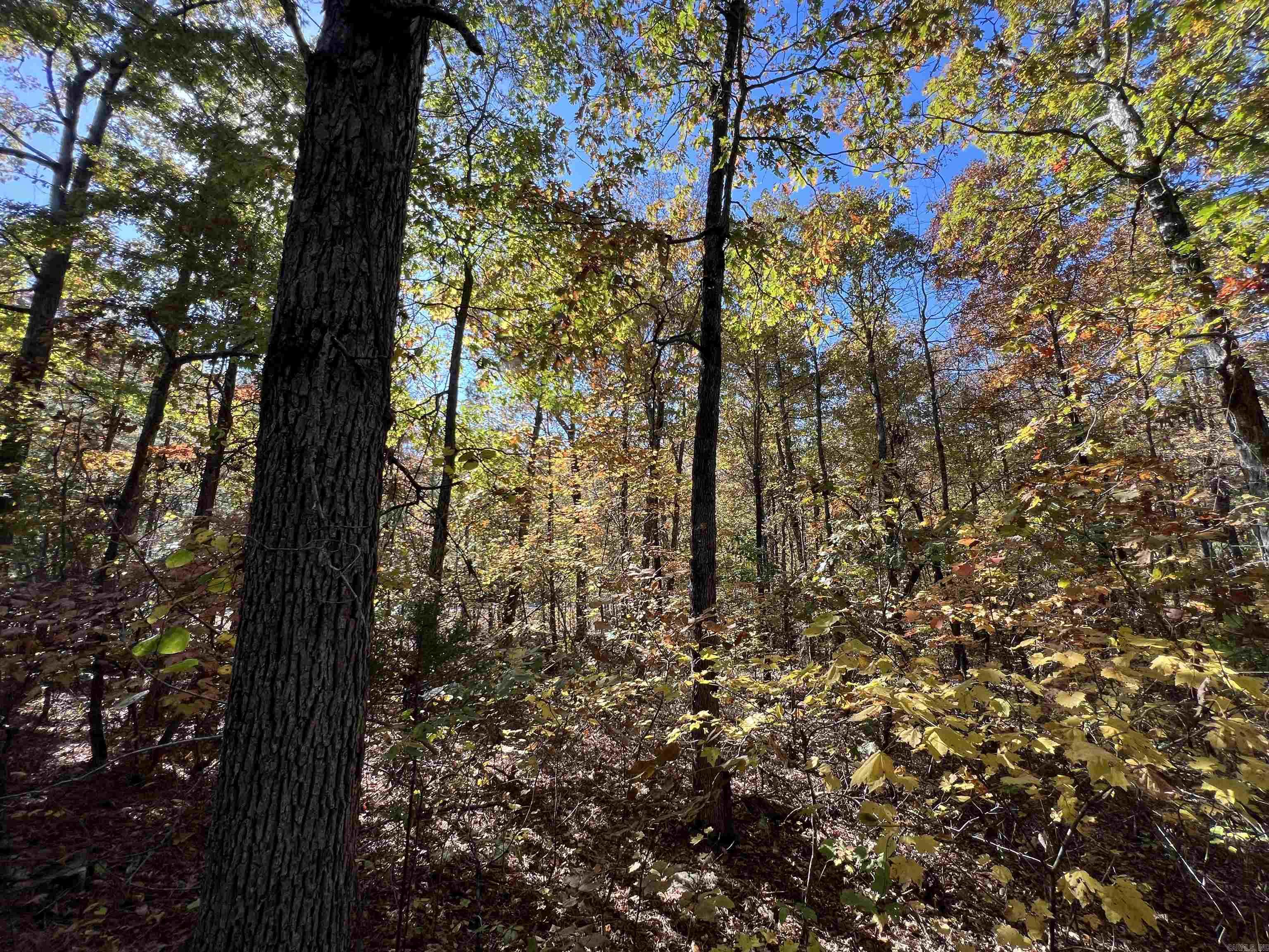 Holley Mountain Airpark - Land