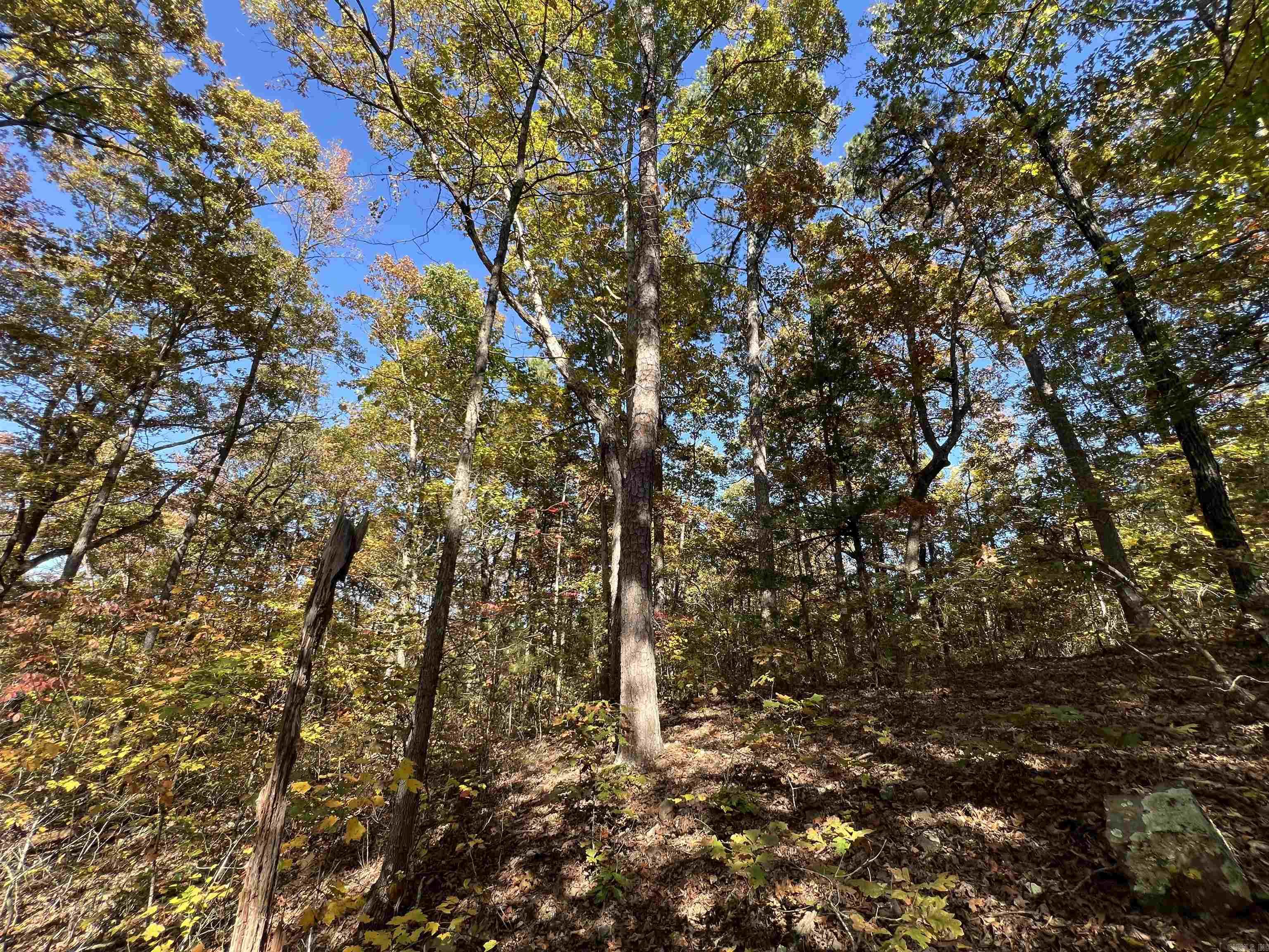 Holley Mountain Airpark - Land