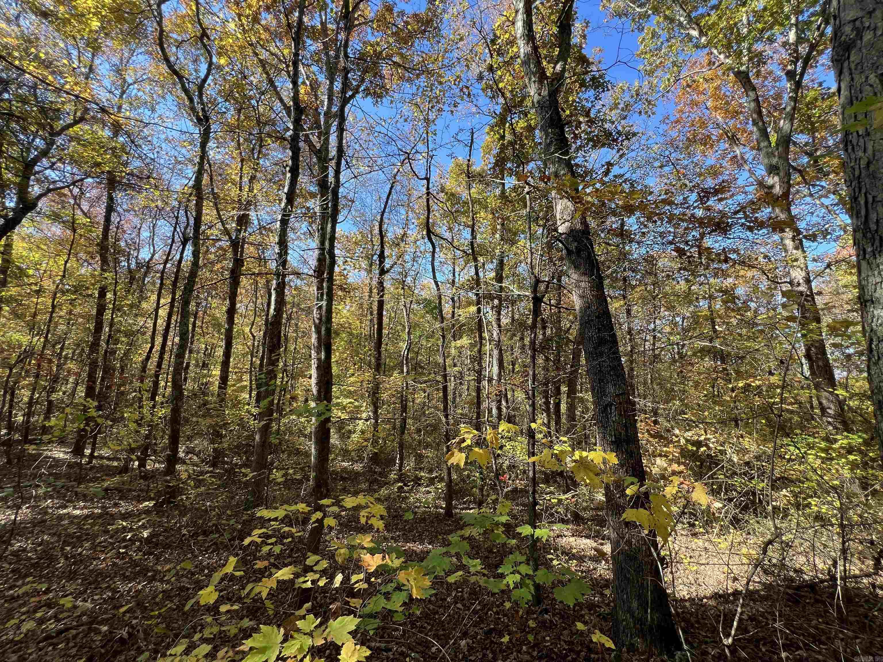 Holley Mountain Airpark - Land