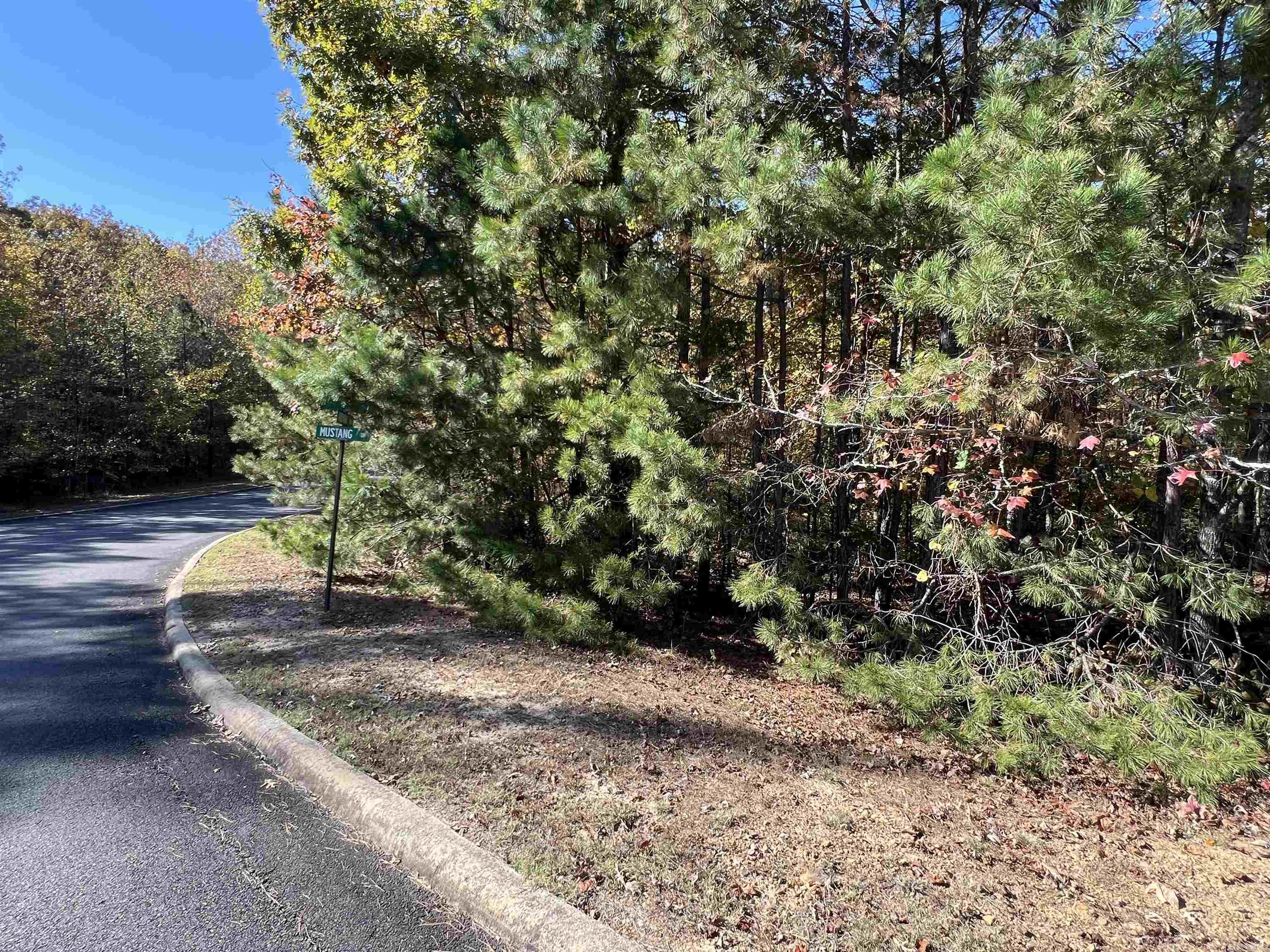 Holley Mountain Airpark - Land