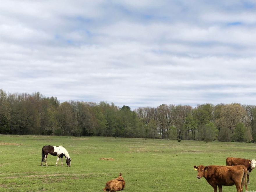 20.80 acres in city limits. 17.0+/- pasture 3.70 wooded. Has pond and is fenced. Currently rented for cows. North side of property is in flood zone. Can access property from Purcell road or N 9 1/2 ST and Roberts.