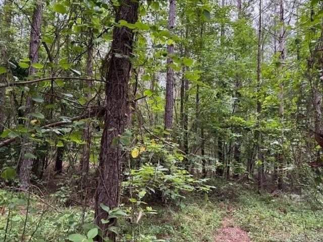 beautiful wooded acreage on hill side over ooking the mts of HOT SPRINGS watch the sun set beautiful road on both sides