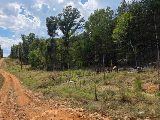 6TH ST, HARDY, AR 72542 - Image 6ee42e652c4bedd9bf536a6a21462190/3740179756