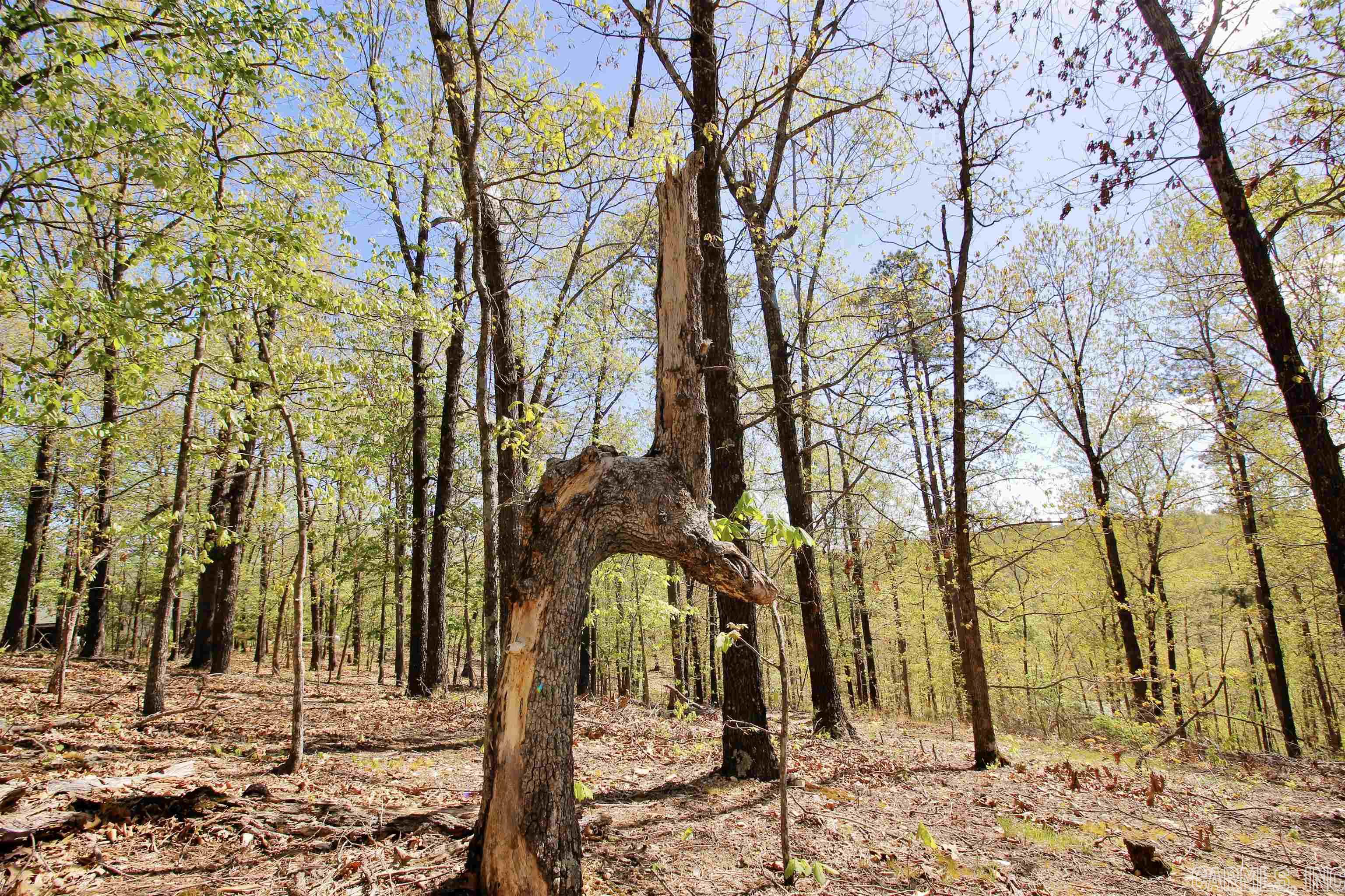 Marion Acres - Residential