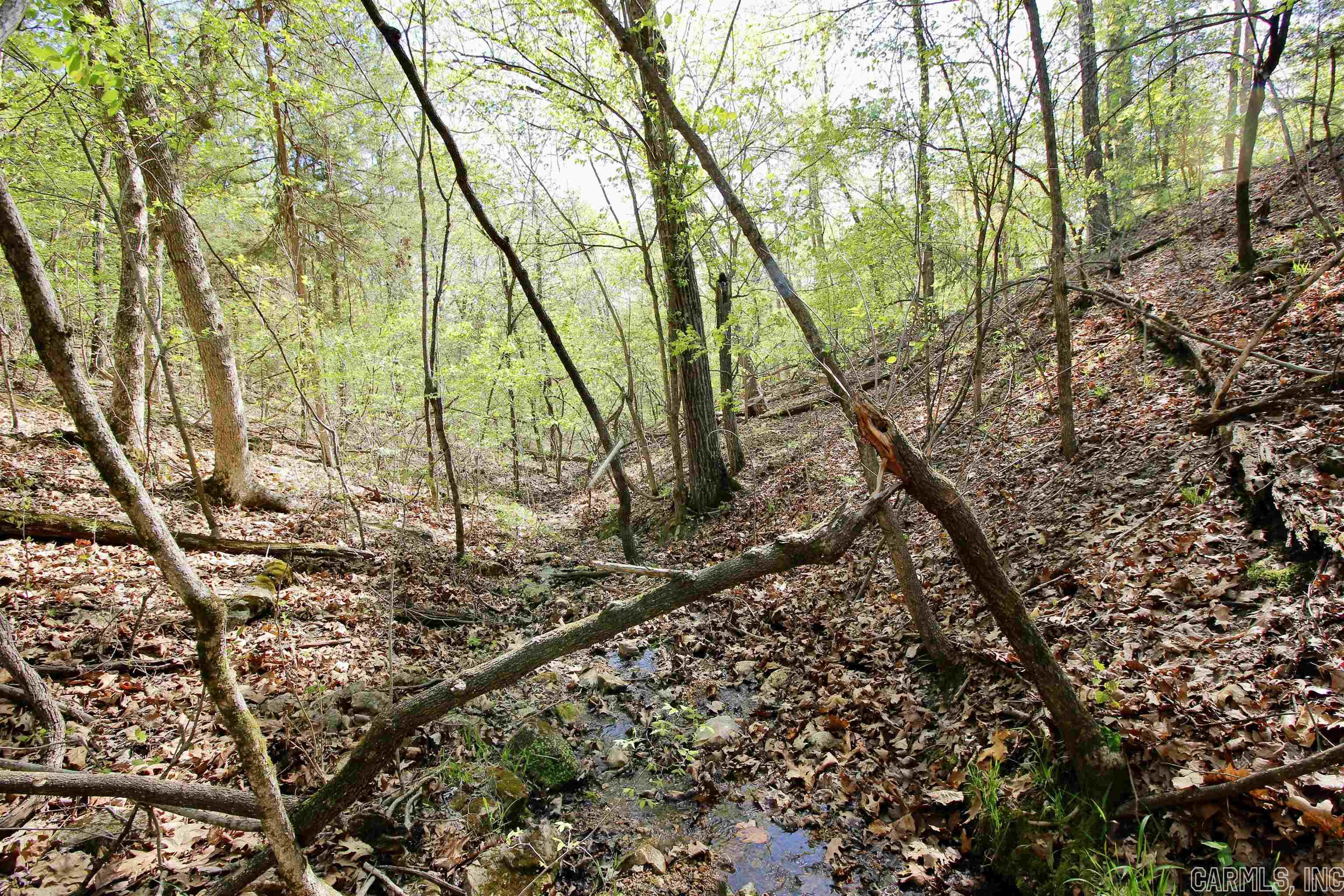 Marion Acres - Residential