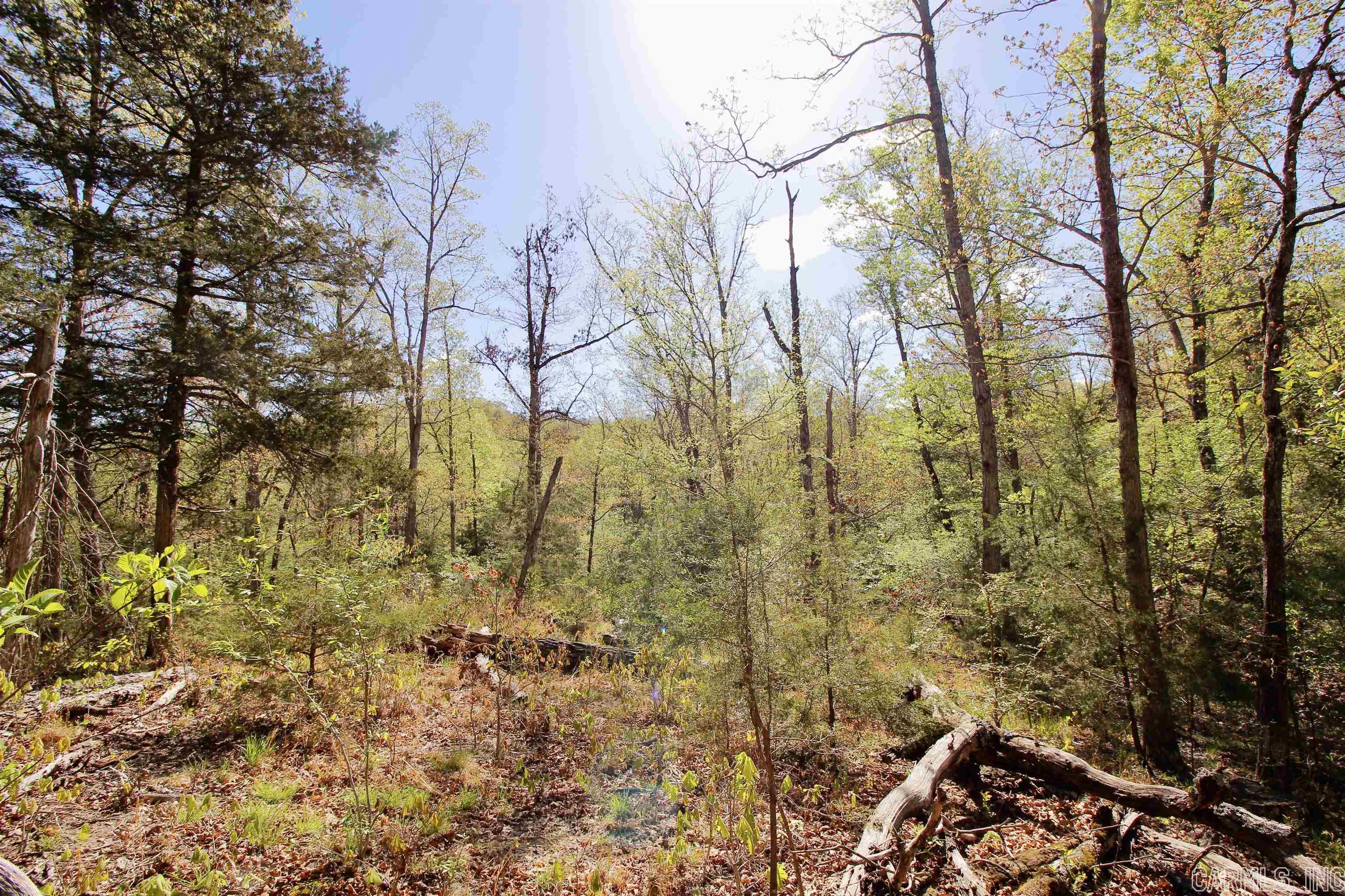 Marion Acres - Residential