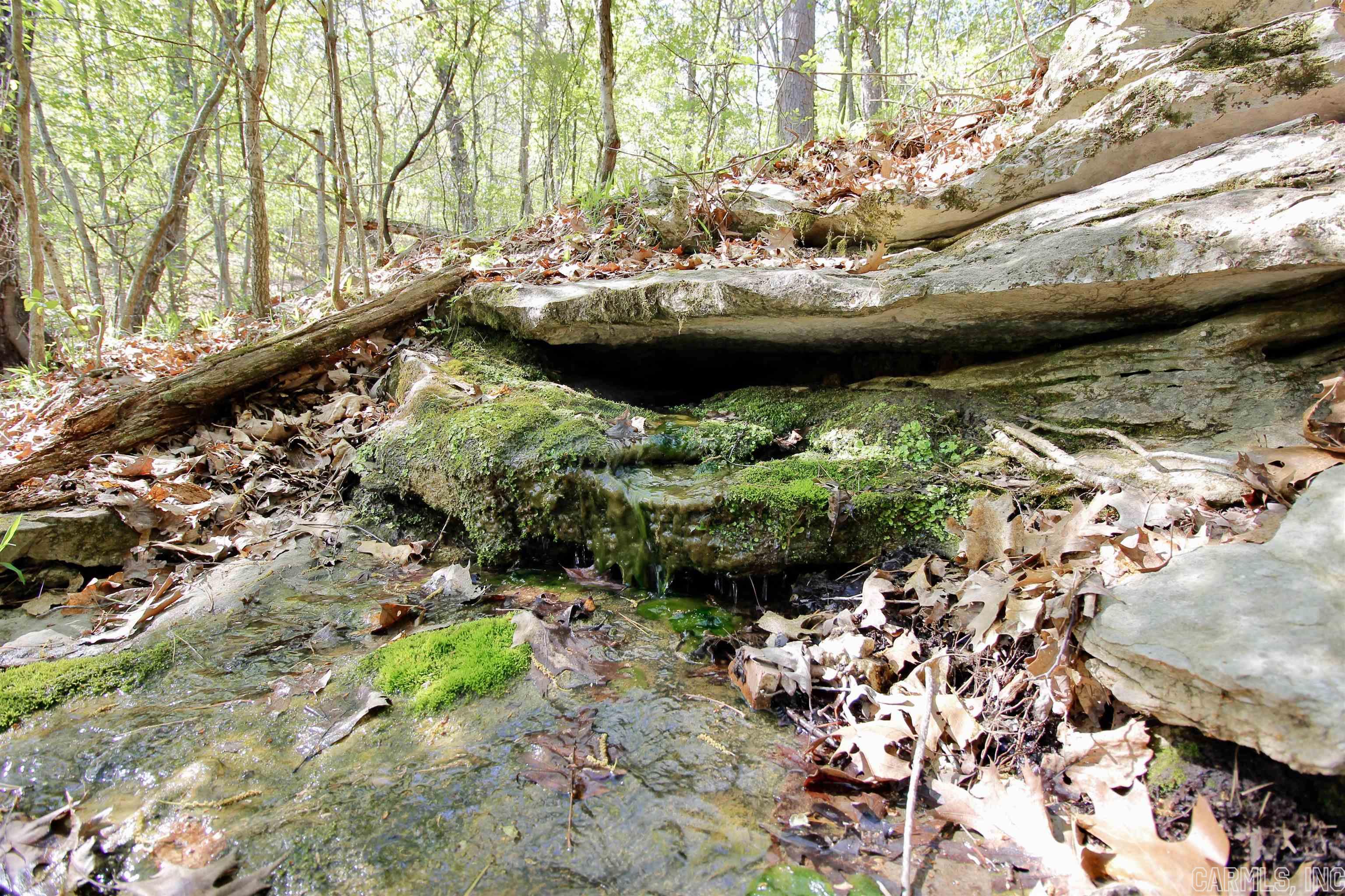 Marion Acres - Residential