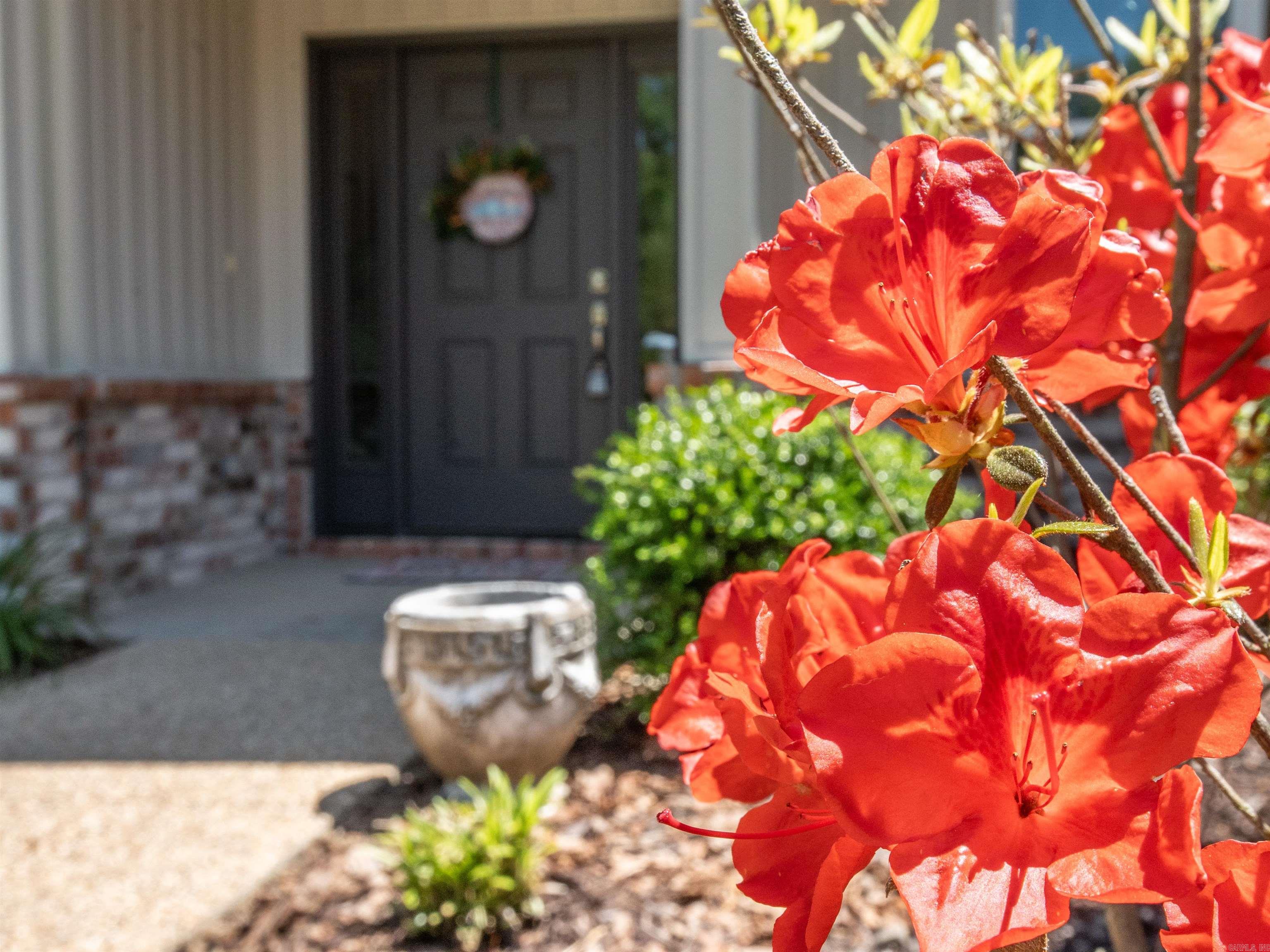 Dedalera - Residential