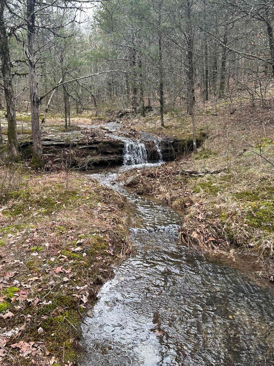 Looking for that ideal building location with privacy, great hunting, and more! Check out this 54 acres located in Damascus only a short distance from Conway, Greenbrier, and Greers Ferry. This acreage has a gentle roll with multiple wet weather creeks, clearings, pines and hardwoods. There are multiple building locations that offer great seclusion and views. The property is easily accessed off of a county road and the acreage with maintained trails throughout. The insulated shop building is 30x50 with 14ft sidewalls, 2 12x12 overhead doors (1 power), 1 walk in door, and a concrete approach. Electricity, water, and septic are already on the property. There is also a 30 amp service hookup for a camper. With endless potential whether you are looking to build or recreation this property offers it all. Please give me a call today to check it out!