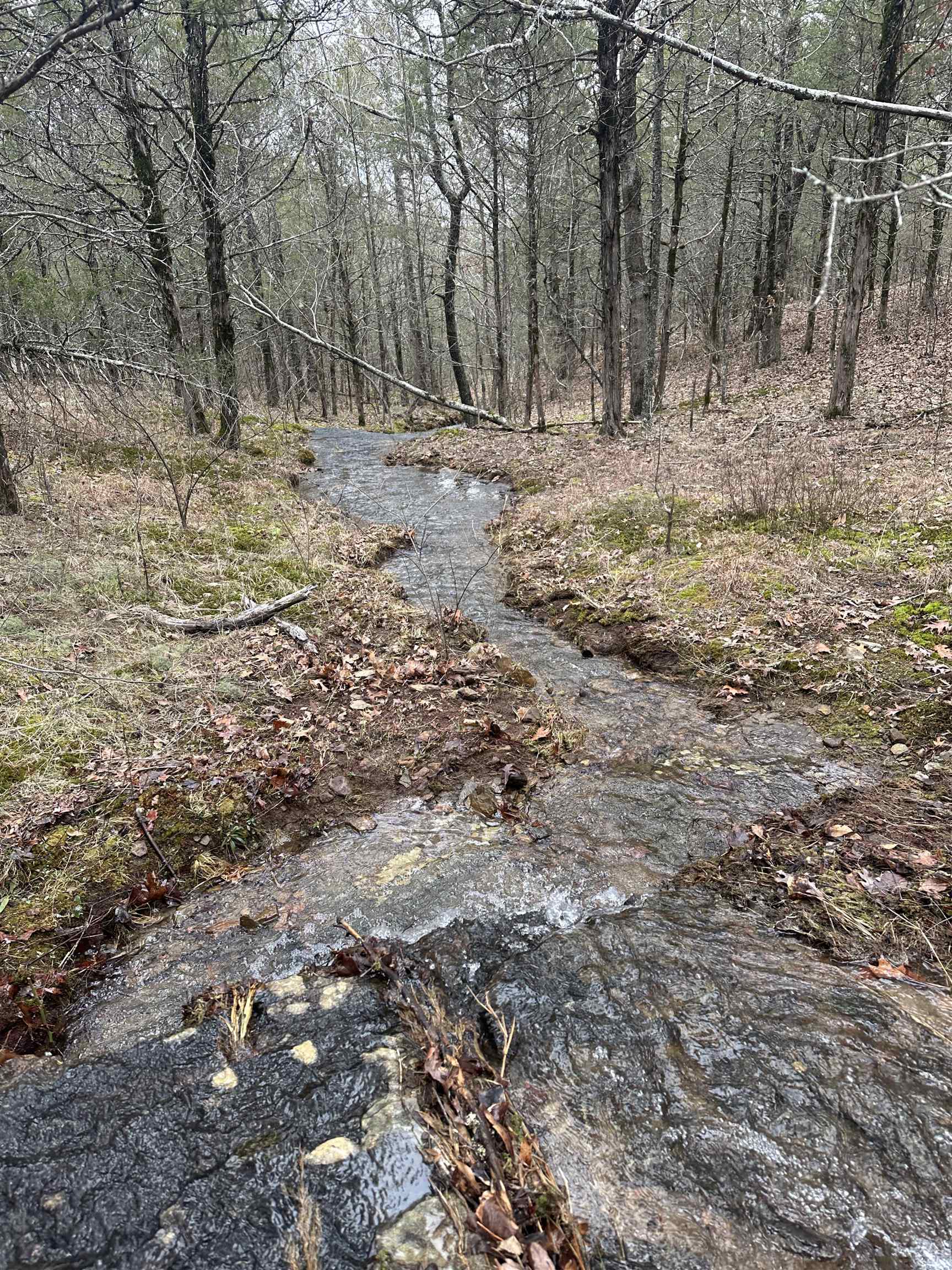 Not in Subdivision - Land