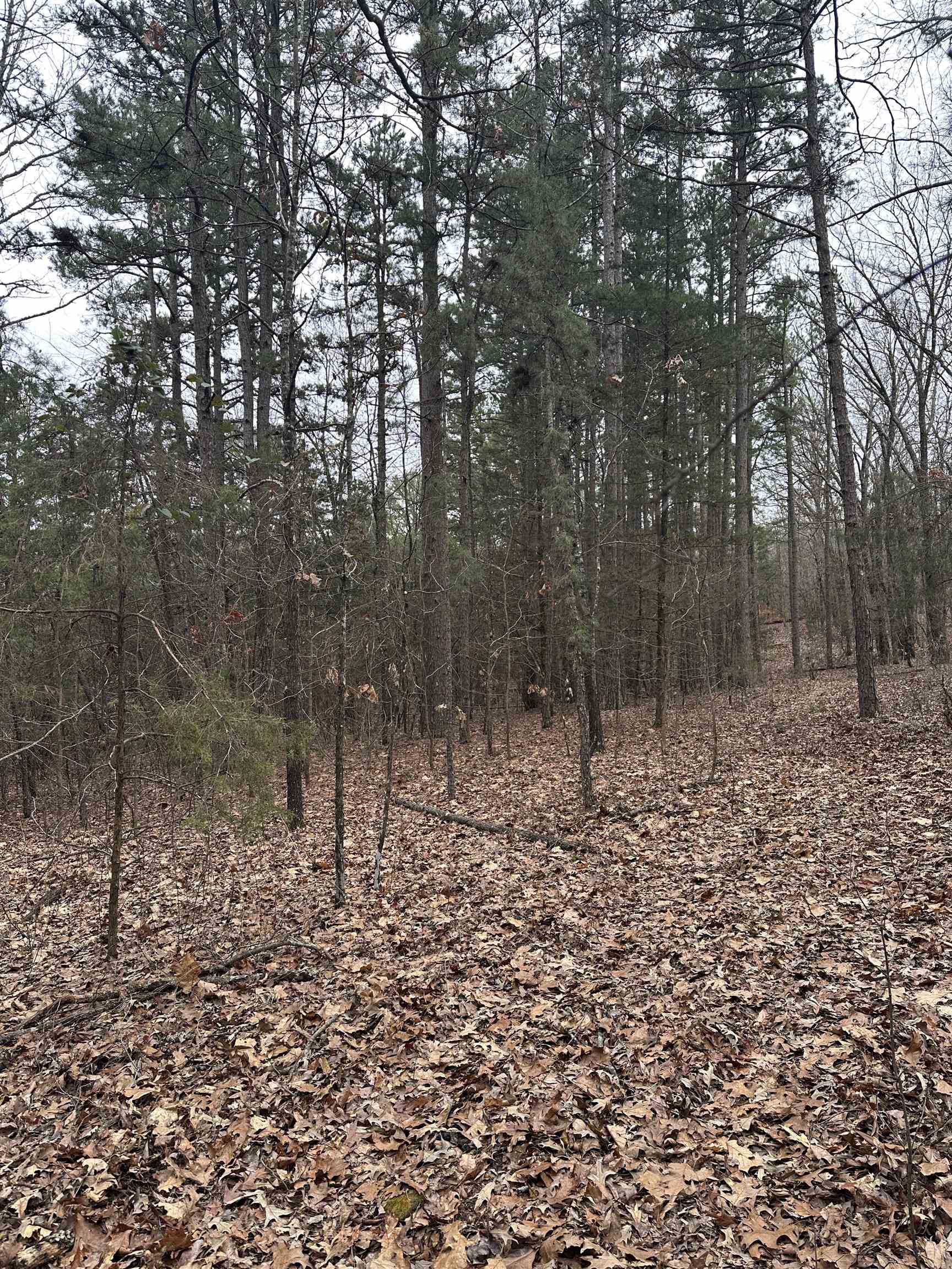 Not in Subdivision - Land