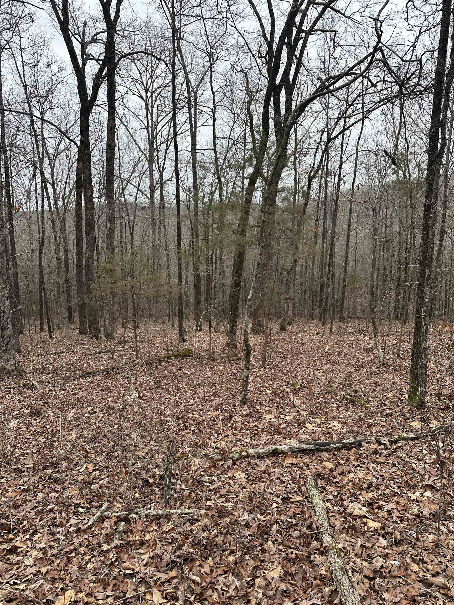 Not in Subdivision - Land