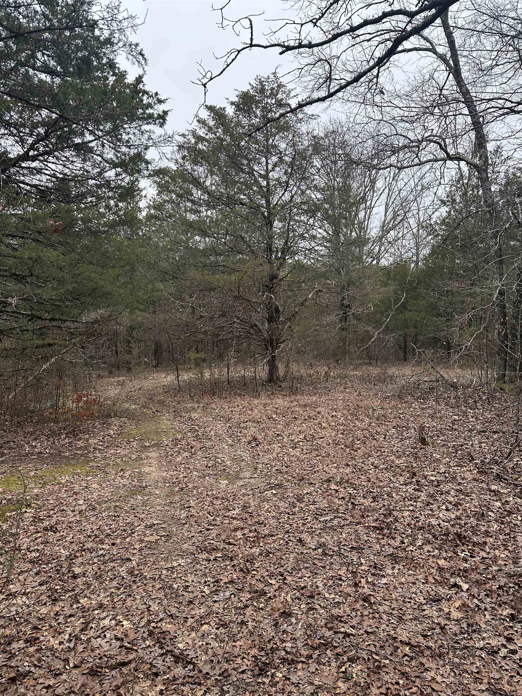 Not in Subdivision - Land