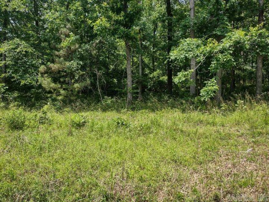 Excellent lot located in Diamondhead
