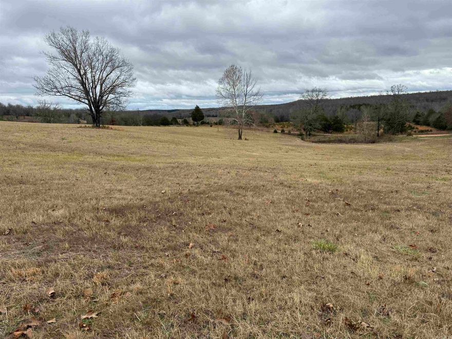 Versatile Hayfield or Pastureland in Fulton County, Arkansas  Nestled in the heart of the Arkansas Ozarks near the Missouri state line, this exceptional property offers endless possibilities. Whether you’re looking for fertile hayfields, pastureland, or a place to call home, this property delivers!  Property Highlights:  Hayfields and Pastureland: Ideal for agricultural use with excellent hay production and plenty of open spaces for livestock. Home Sites: Beautiful spots for building your dream home with stunning Ozark views. Recreational Opportunities: Perfect for hunting enthusiasts, with abundant whitetail deer and turkey roaming the area. Mixed Use: Combine agricultural use with recreational activities for year-round enjoyment. Located on a gravel road with easy access, this property offers the perfect balance of seclusion and convenience, just a short drive to town.  There is a small cemetery out of the center of this property.