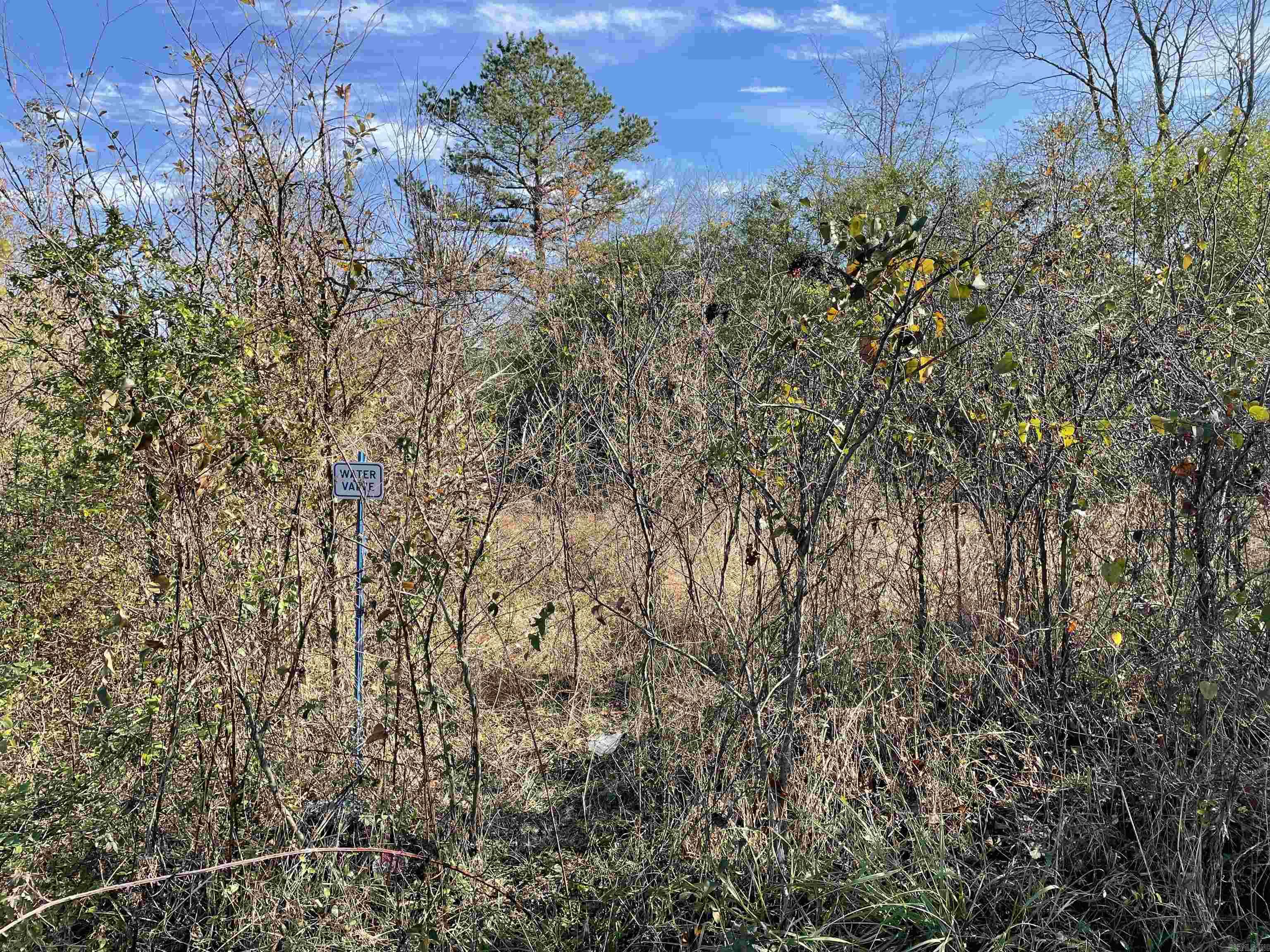 AK Bear Creek Estates #2 - Land