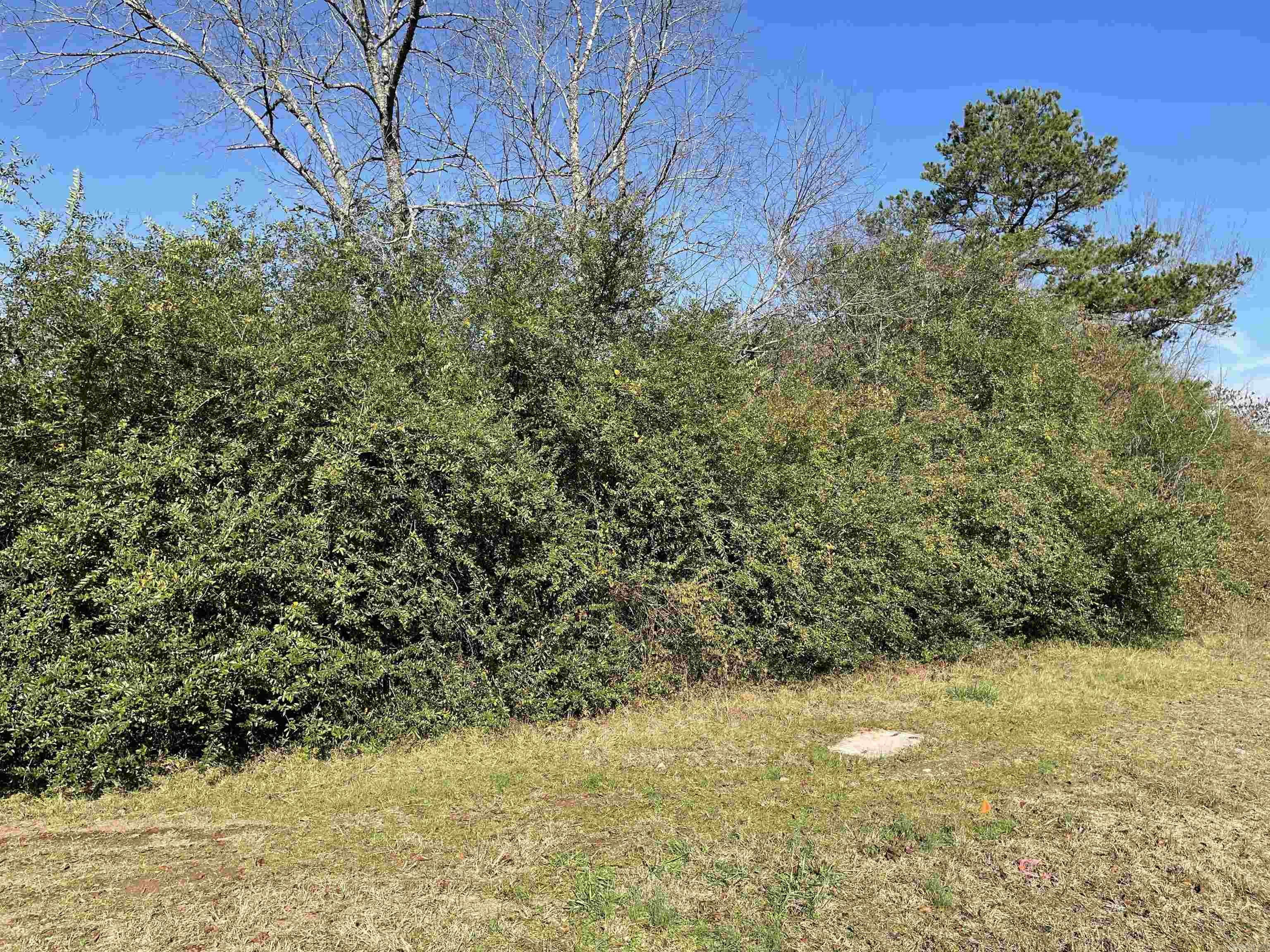 AK Bear Creek Estates #2 - Land