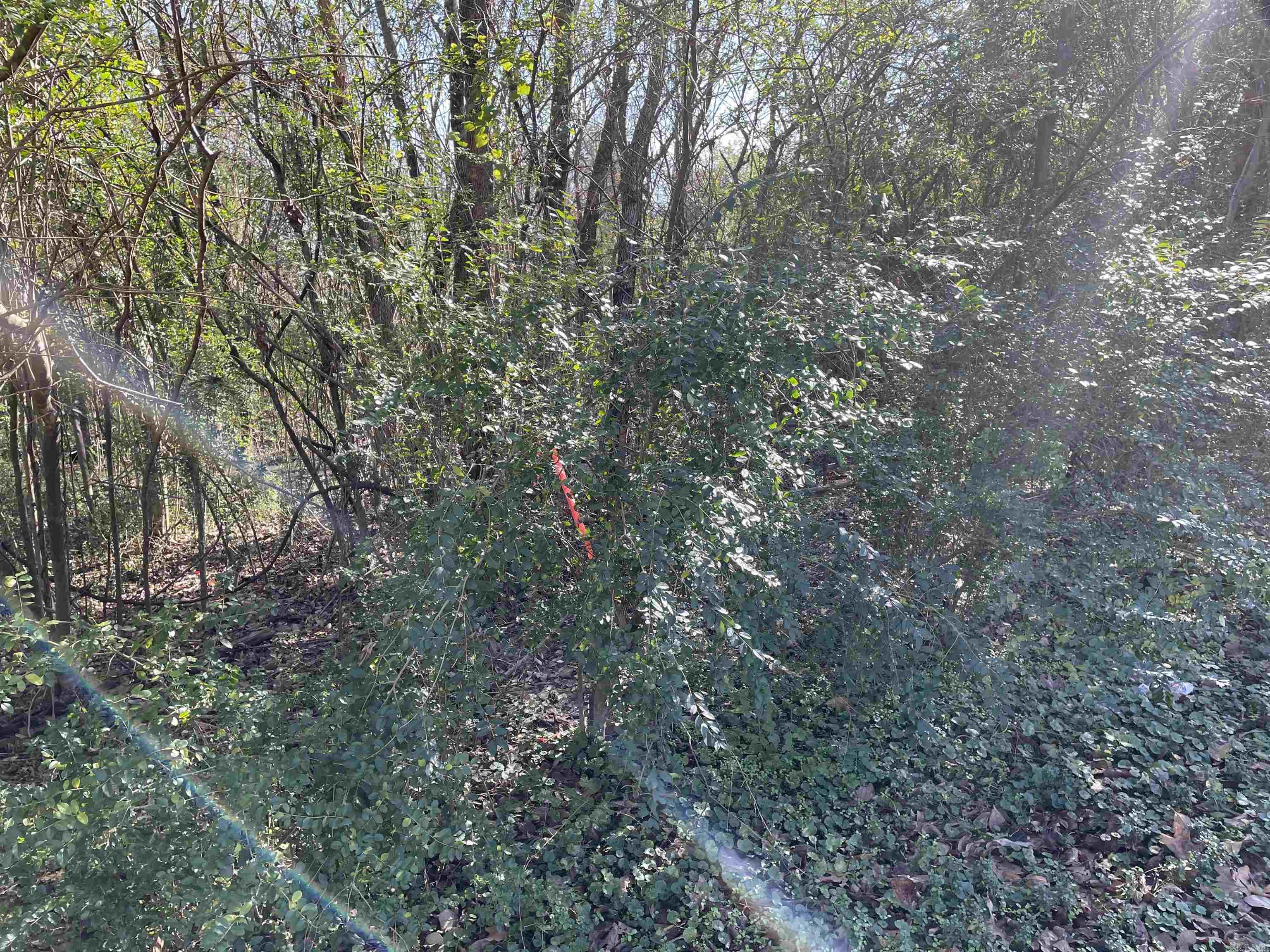 AK Bear Creek Estates #2 - Land