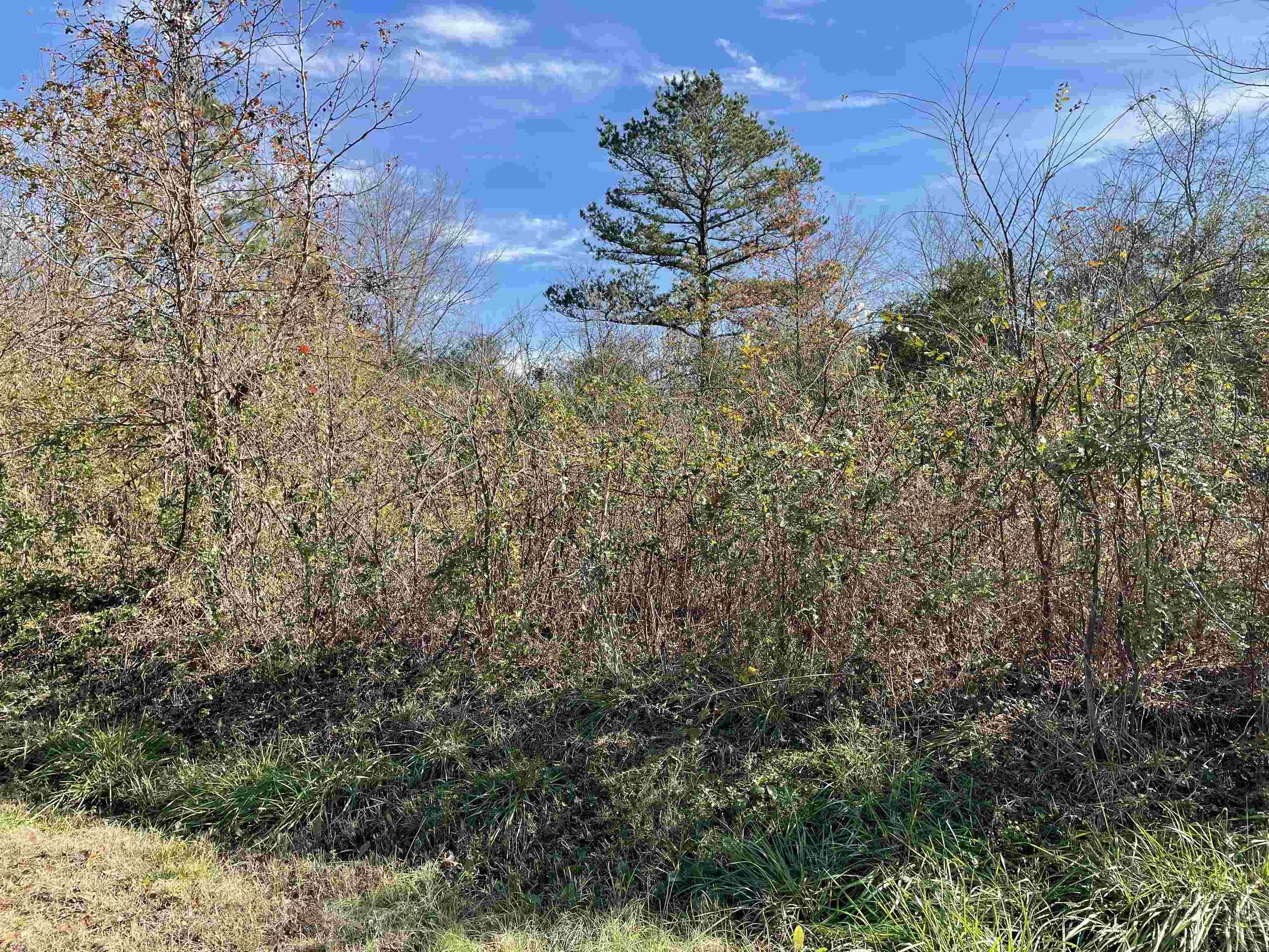 AK Bear Creek Estates #2 - Land