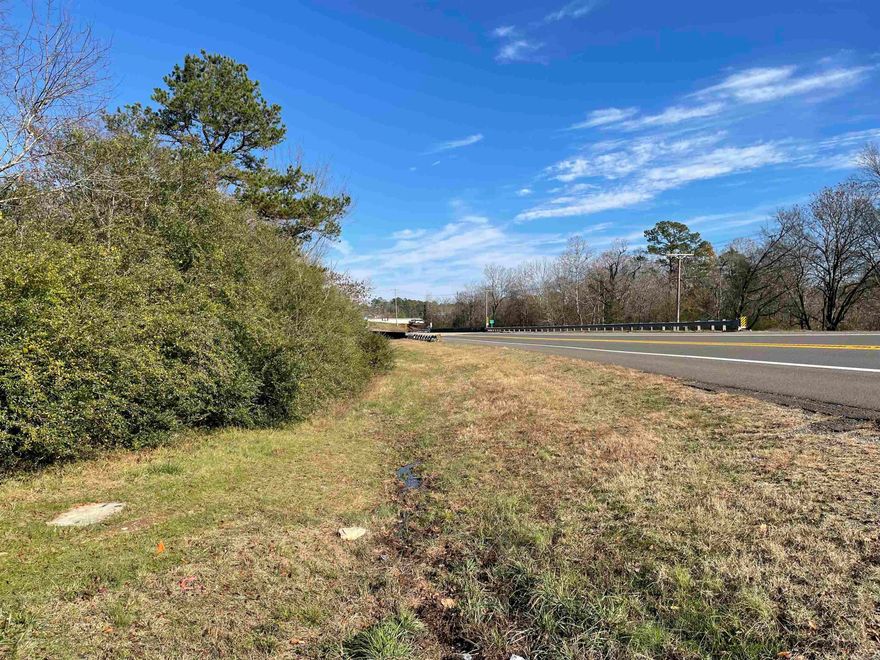 Hwy 270 west lot with approximate 332 road frontage! High traffic area! Many options, use as residential or commercial. Flat with water and electric at the street. Near Dollar General and Lake Ouachita! Lake Hamilton School District.