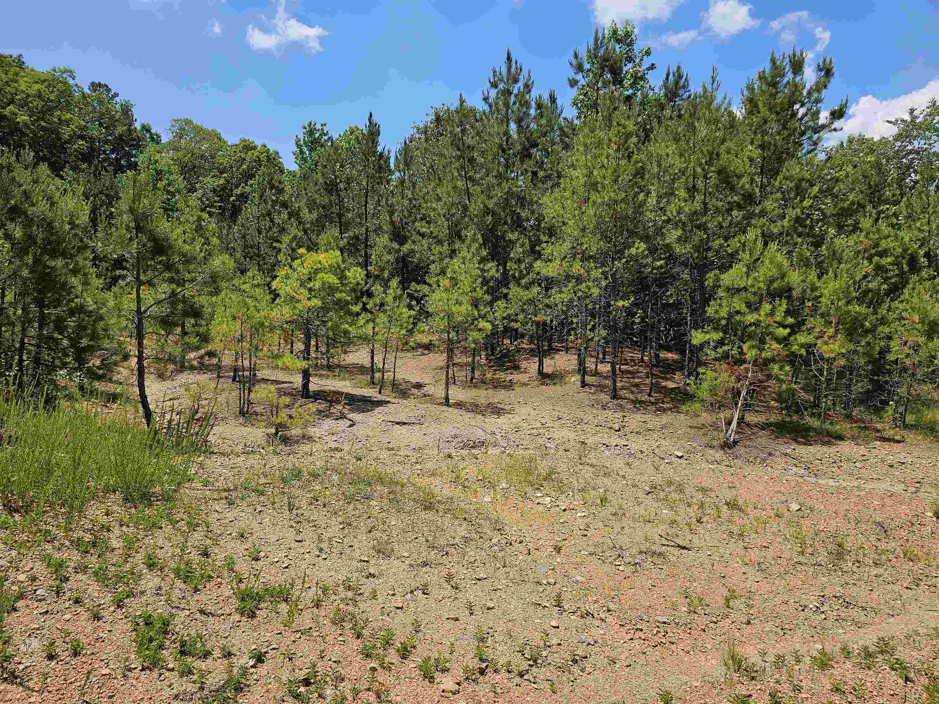 Metes & Bounds - Commercial Sale