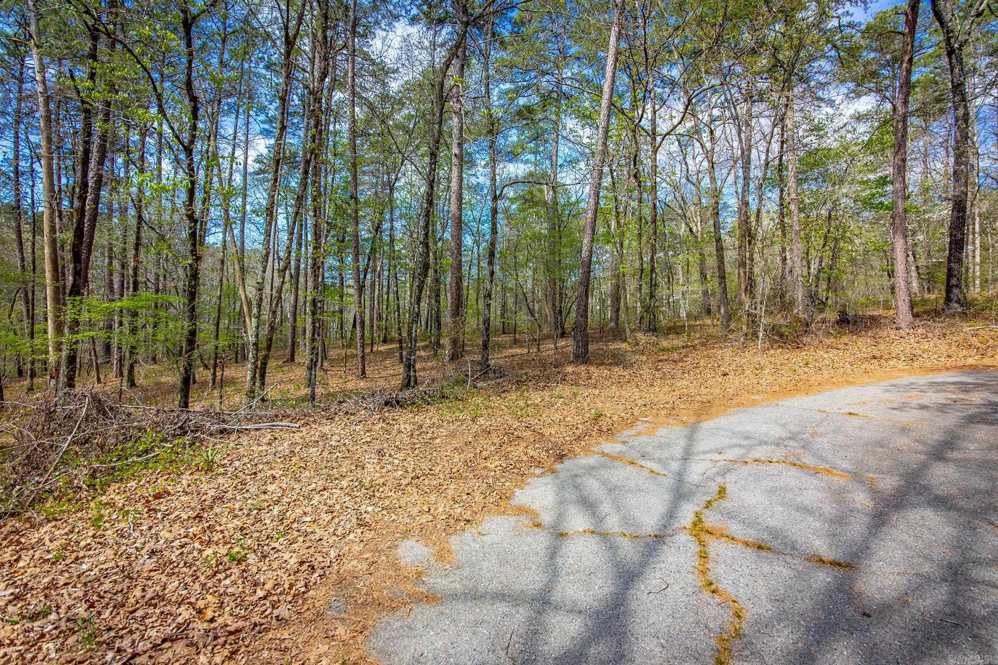 Hot Springs Village - Land