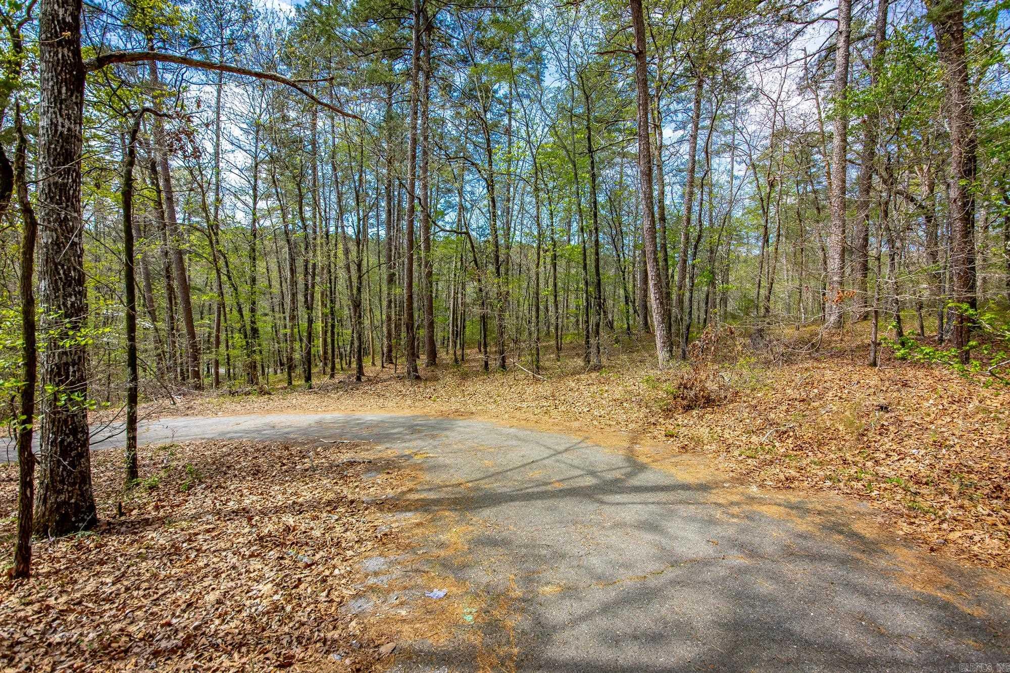 Hot Springs Village - Land