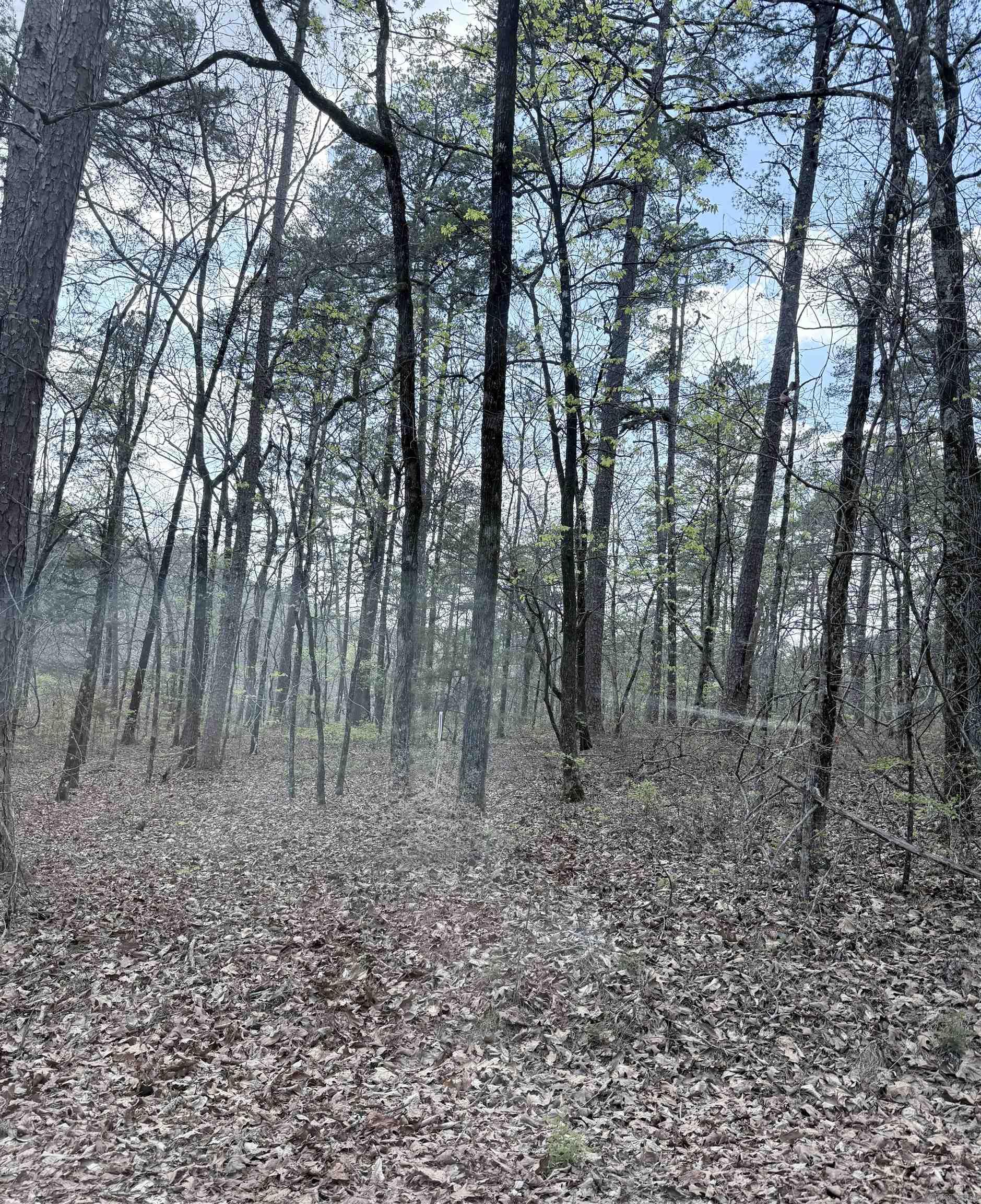 Hot Springs Village - Land