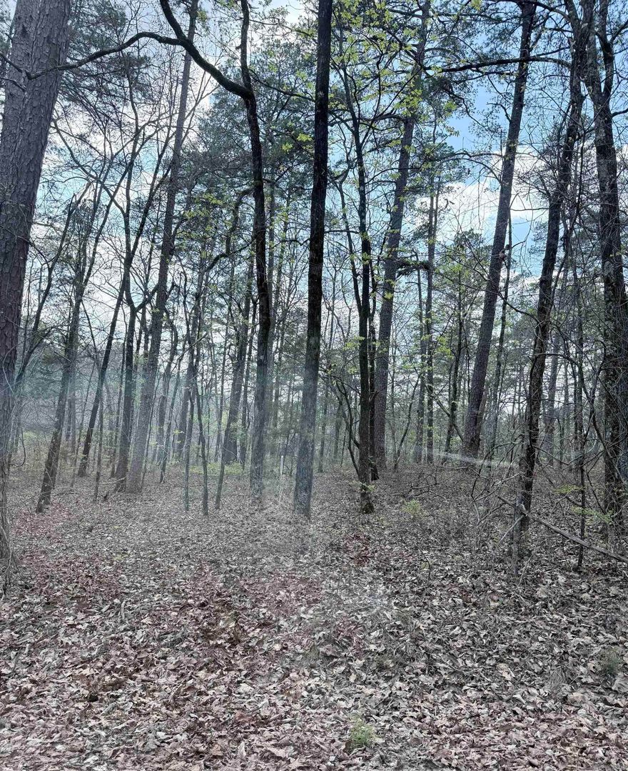 Hot Springs Village lot that is ready to build your dream home, and Have access to all Hot Springs Village has to offer! Hot Springs Village is a gated community with multiple golf courses, lakes, walking trails, tennis courts & more. Note to buyers there is a POA New Member Buy-In Fee required at closing.