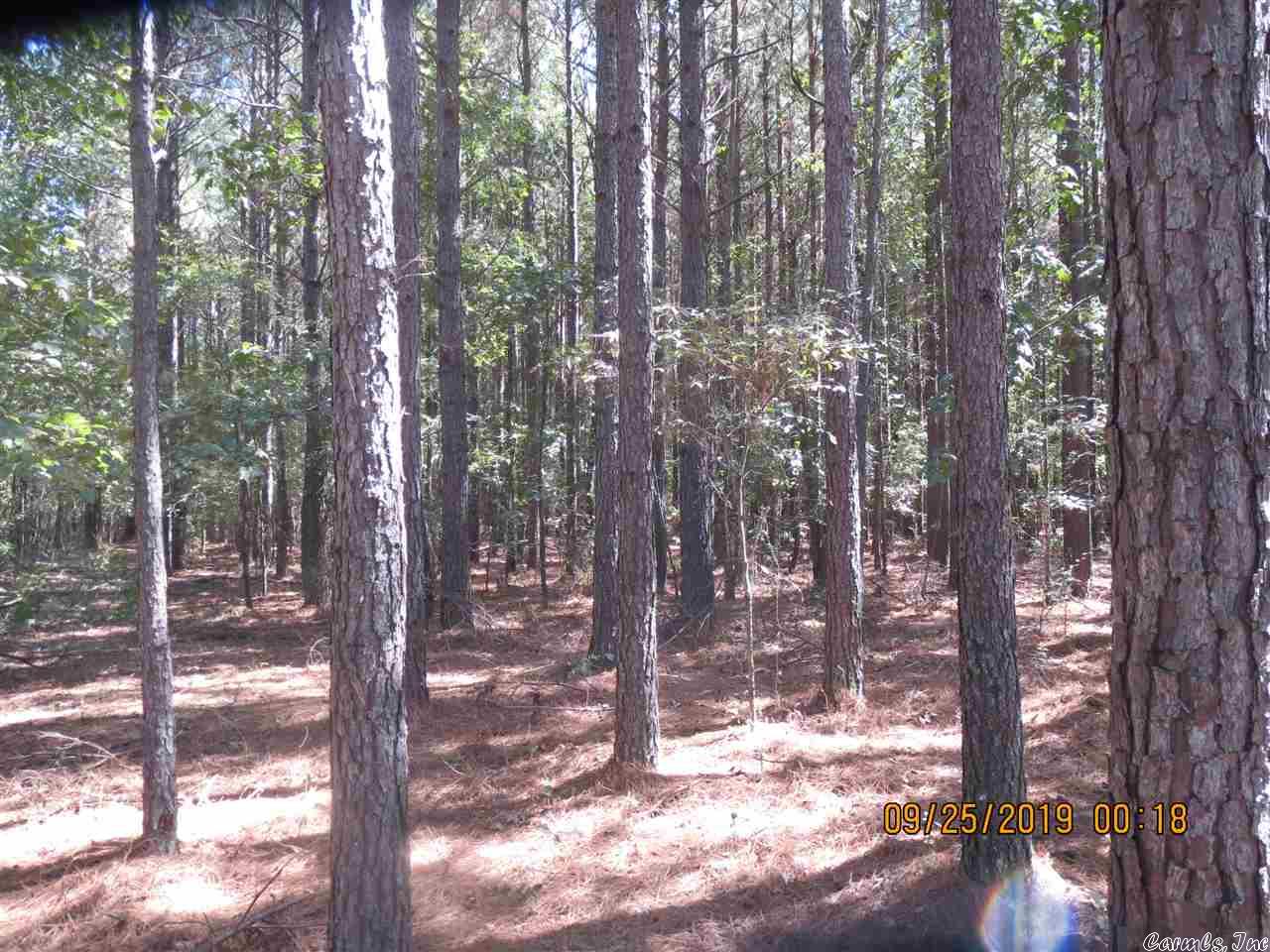 This Mixed Stand of all age timber has the potential to produce income, as well as hunting opportunities and with a state Hwy on the South side and County Roads on the west and north property boundaries, give many options to the person looking to build.