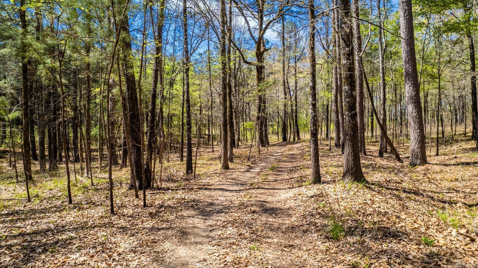 Premier Investment Opportunity: 173 acres in Monticello, Arkansas. This 173-acre property in Drew County offers an exceptional investment opportunity with 2000 feet of frontage along Highway 278, ensuring prime visibility and access. Located just 1.5 miles from the intersection of Highways 425 and 278 and a quarter mile from the new loop connecting to Drew County Regional Medical Center, this land is ideal for development as the area grows. Key Features: Prime Location: Close to major highways, essential amenities like Walmart, and just minutes from shopping, dining, and services. Highway 278 Frontage: 2000 feet of frontage enhances development potential. Pine Plantation: Thriving pine plantation provides potential income or a scenic backdrop for residential projects. Educational Hub: Near the University of Arkansas Monticello, adding value for families and professionals seeking proximity to education. This property combines growth potential, strategic location, and natural beauty, ideal for commercial or residential development, timber management, or recreational use.